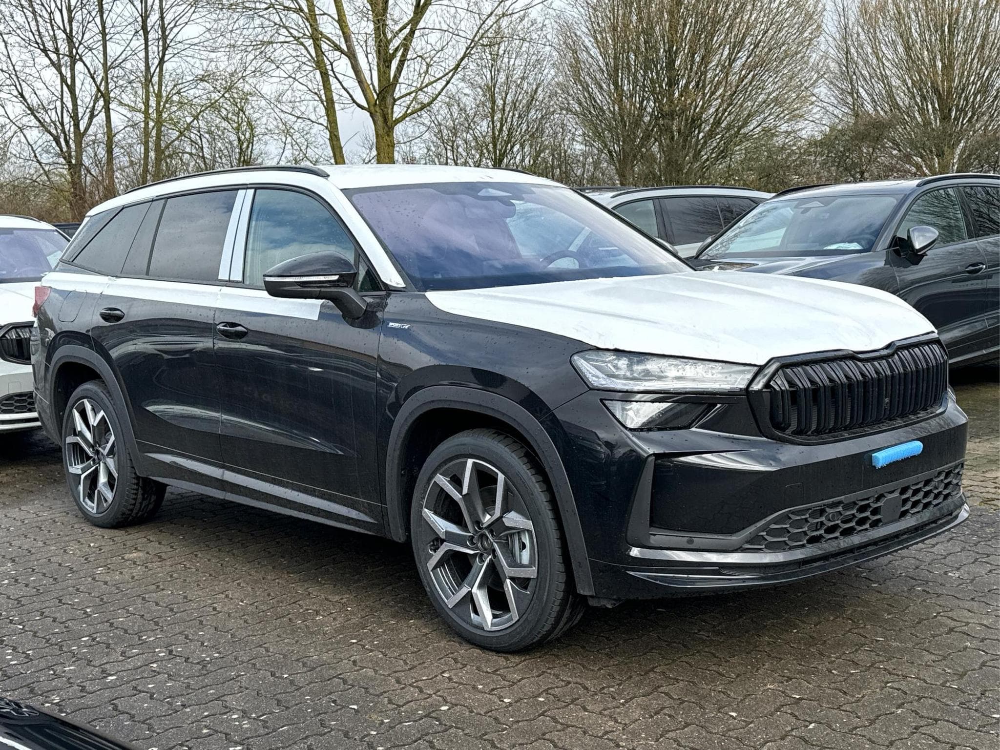 Skoda Kodiaq Sportline (2026) - Photo 3