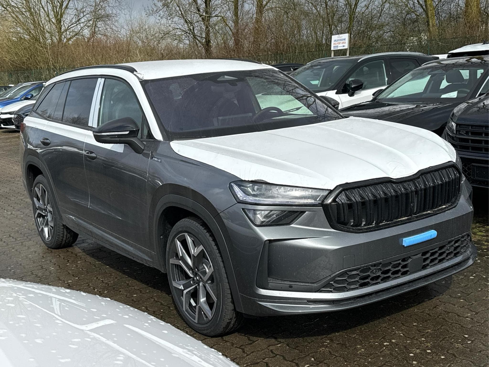 Skoda Kodiaq Sportline (2026) - Foto 3
