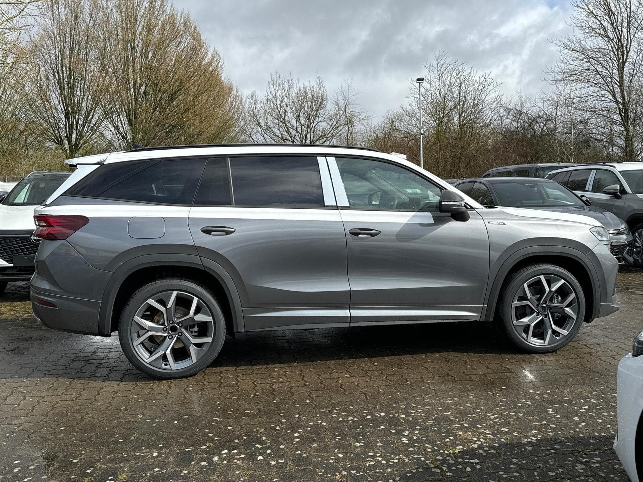 Skoda Kodiaq Sportline (2026) - Foto 5