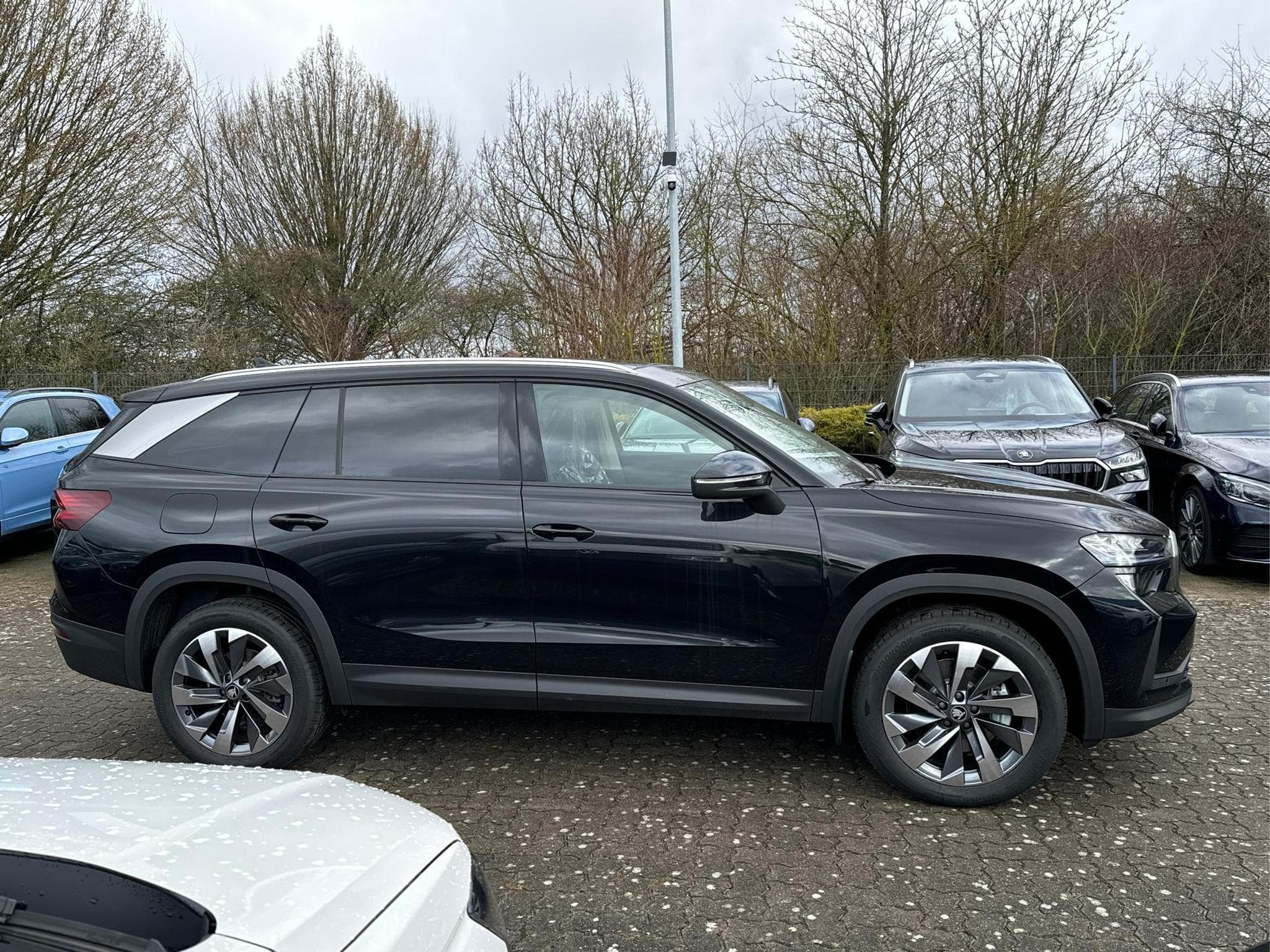 Skoda Kodiaq Selection Business Edition (2026) - Foto 3