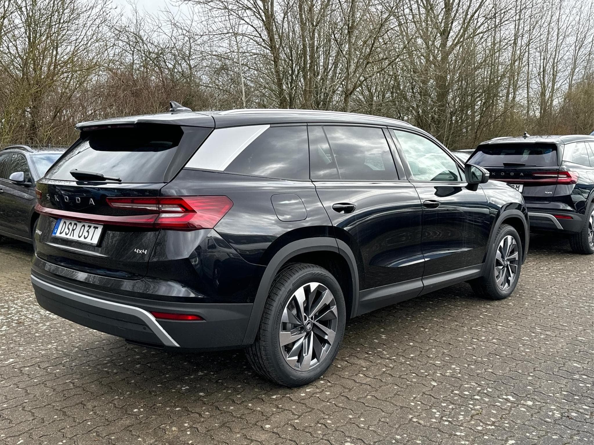 Skoda Kodiaq Selection Business Edition (2026) - Foto 5