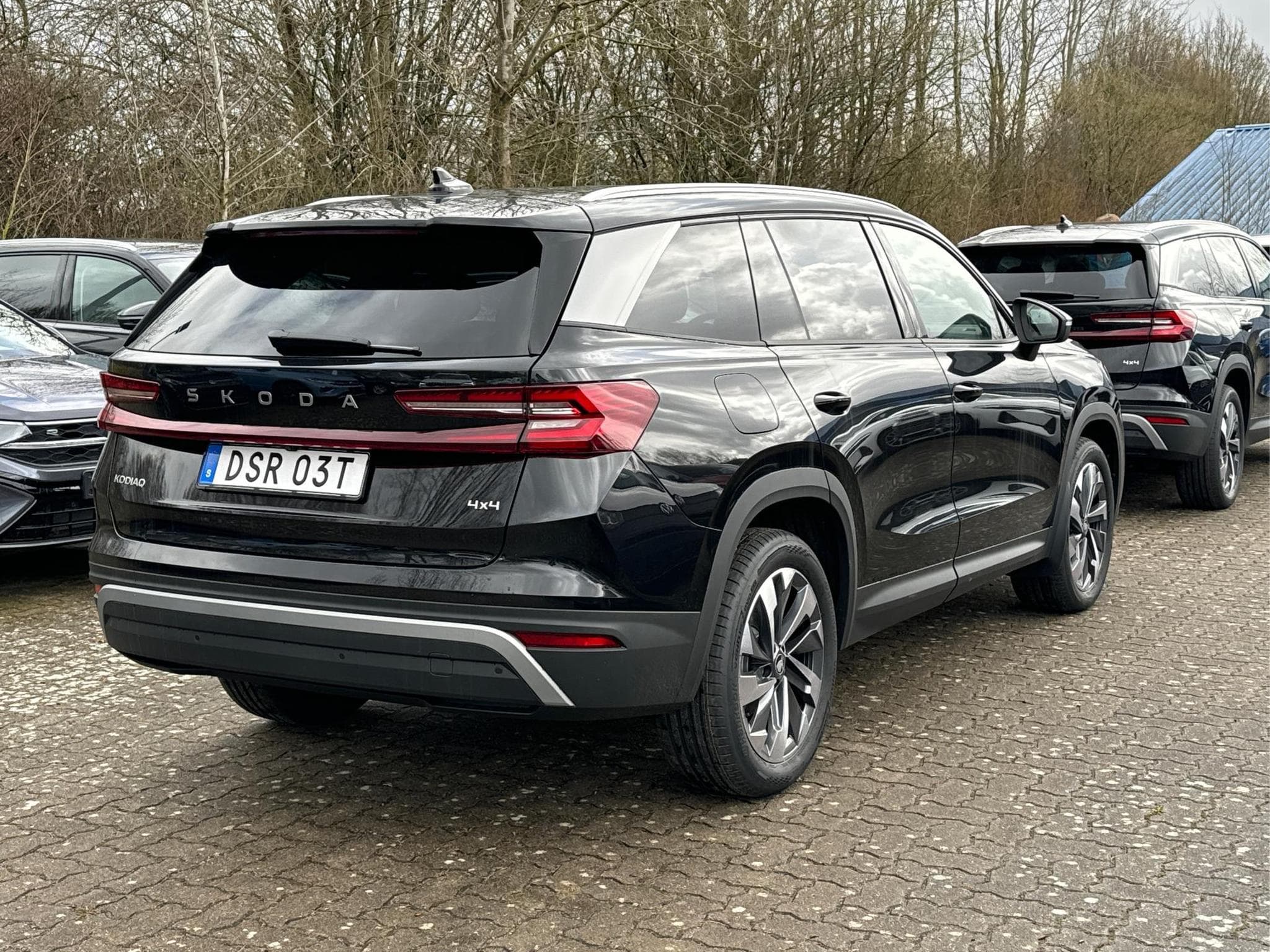 Skoda Kodiaq Selection Business Edition (2026) - Foto 6