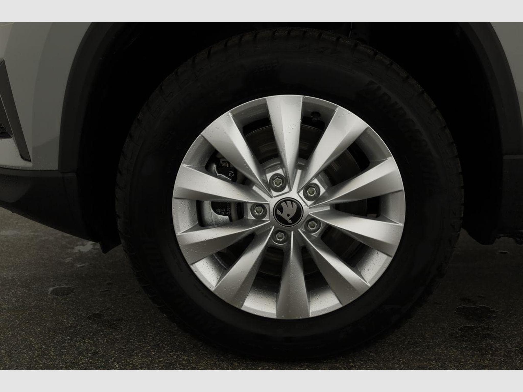 Skoda Karoq Selection (2025) - Foto 15