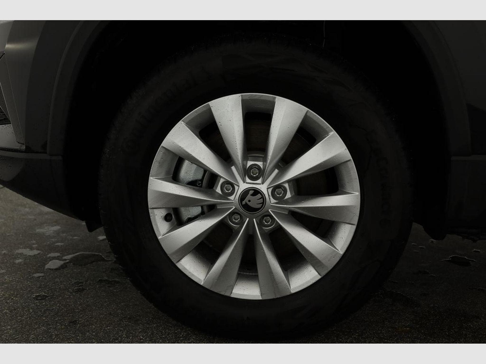 Skoda Karoq Selection (2025) - Foto 15