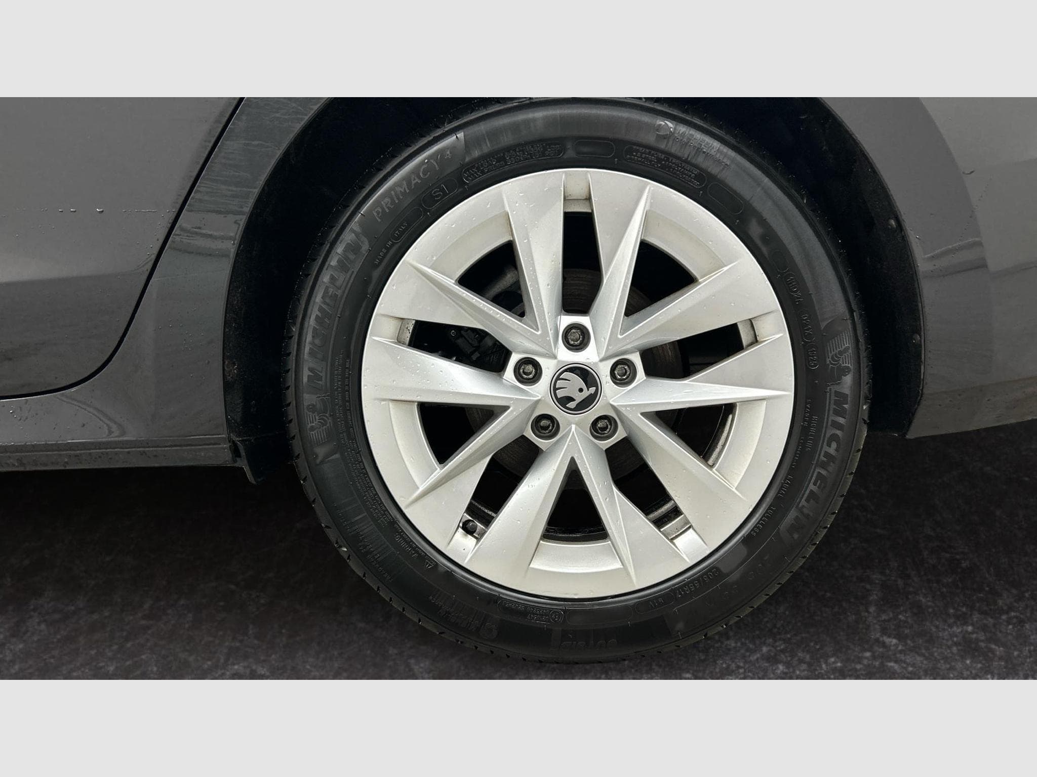 Skoda Octavia Selection (2025) - Photo 3