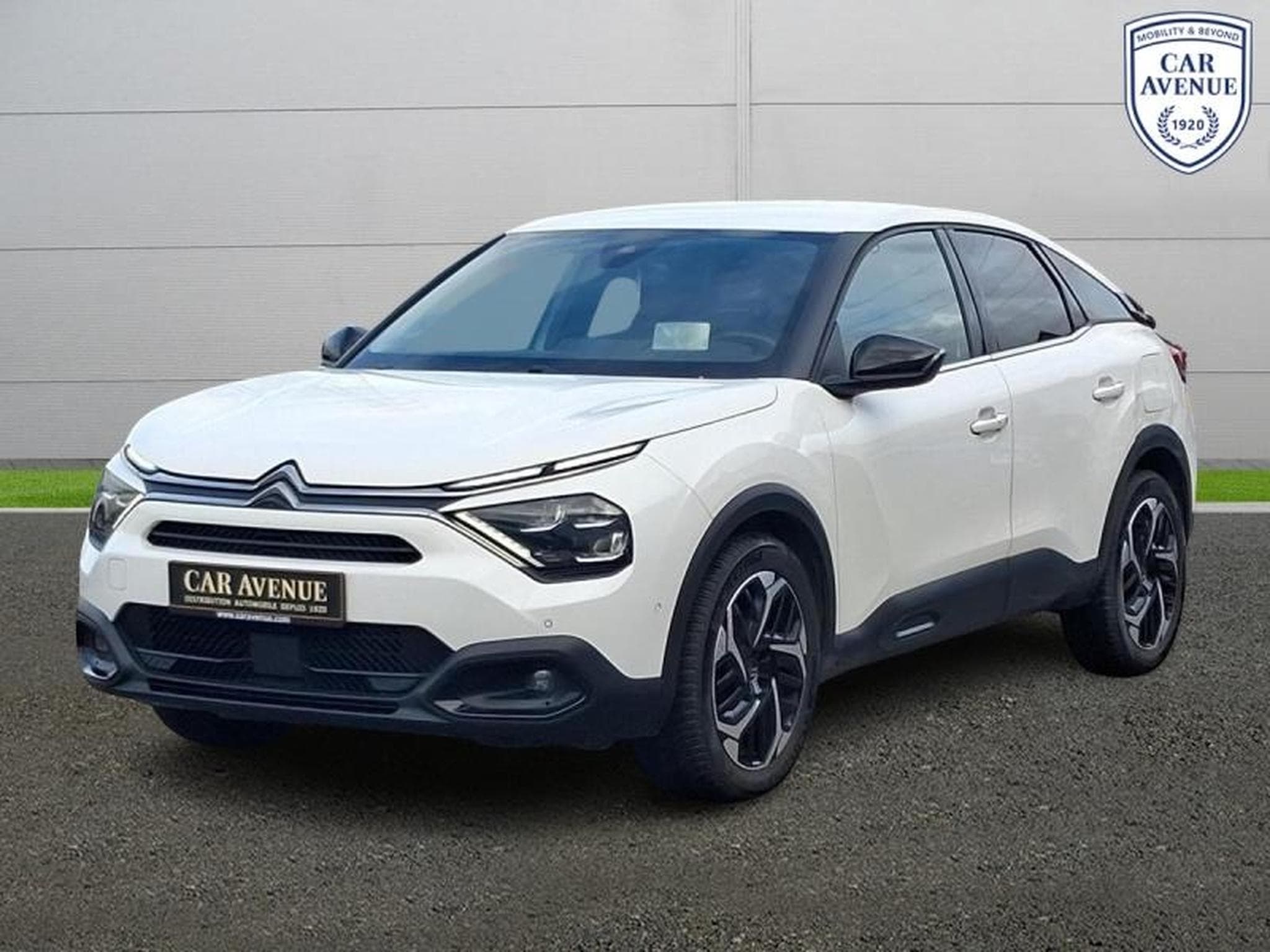 CITROEN C4 BlueHDi 110ch S&S Shine (2021) - Foto 1