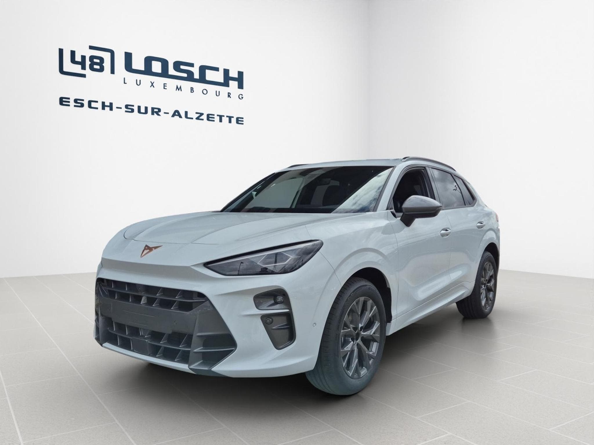 Cupra Terramar 1.5 eTSI - 150 CV MHEV (2026) - Photo 1