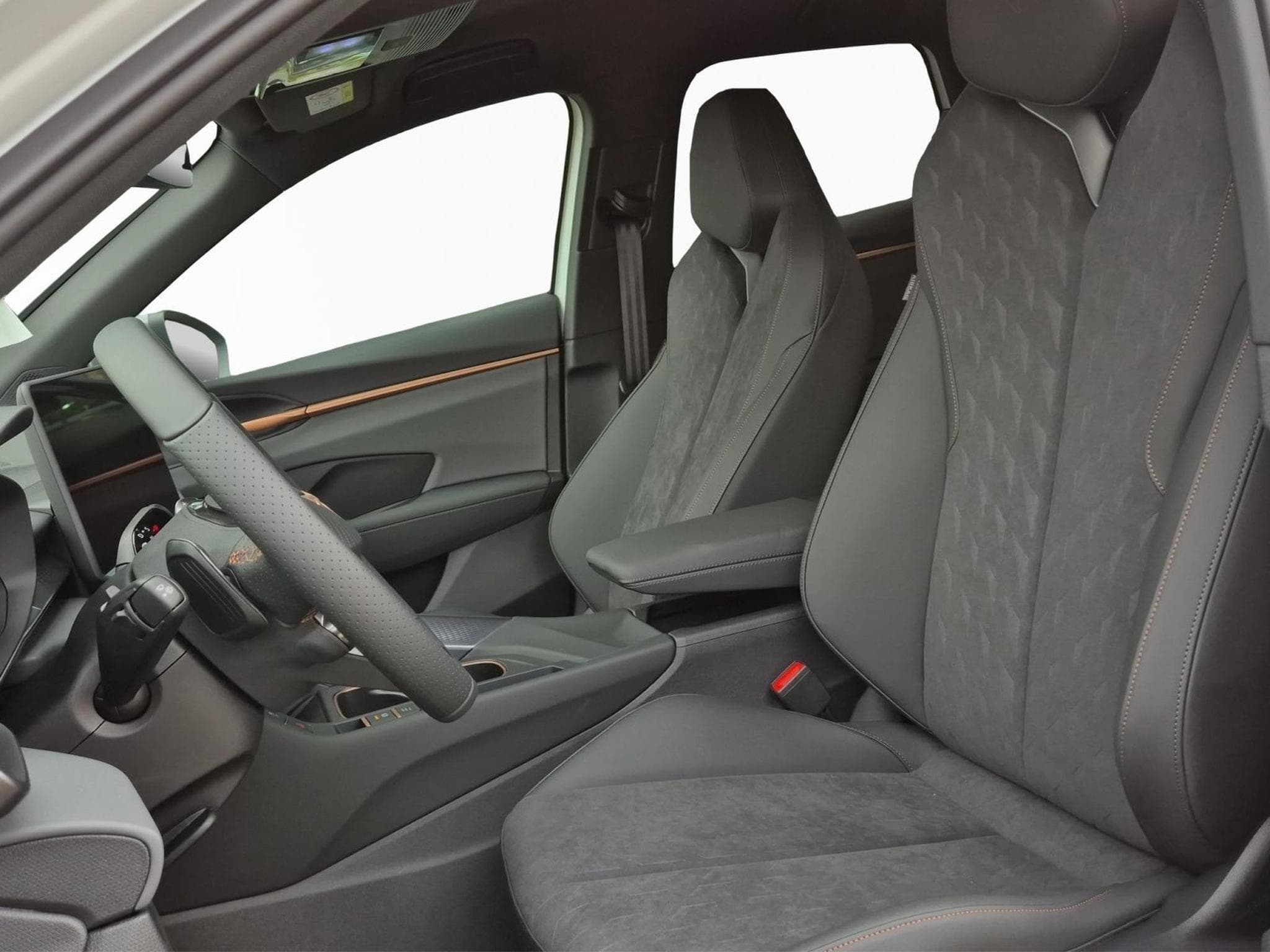 Cupra Terramar 1.5 eTSI - 150 CV MHEV (2026) - Photo 13