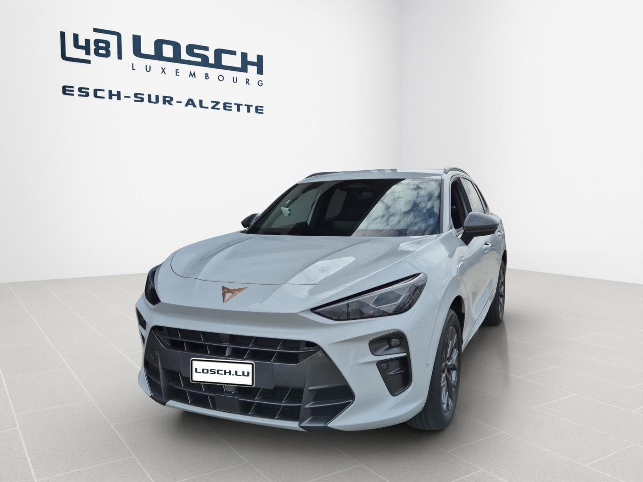 Cupra Terramar 1.5 eTSI - 150 CV MHEV (2026) - Photo 2