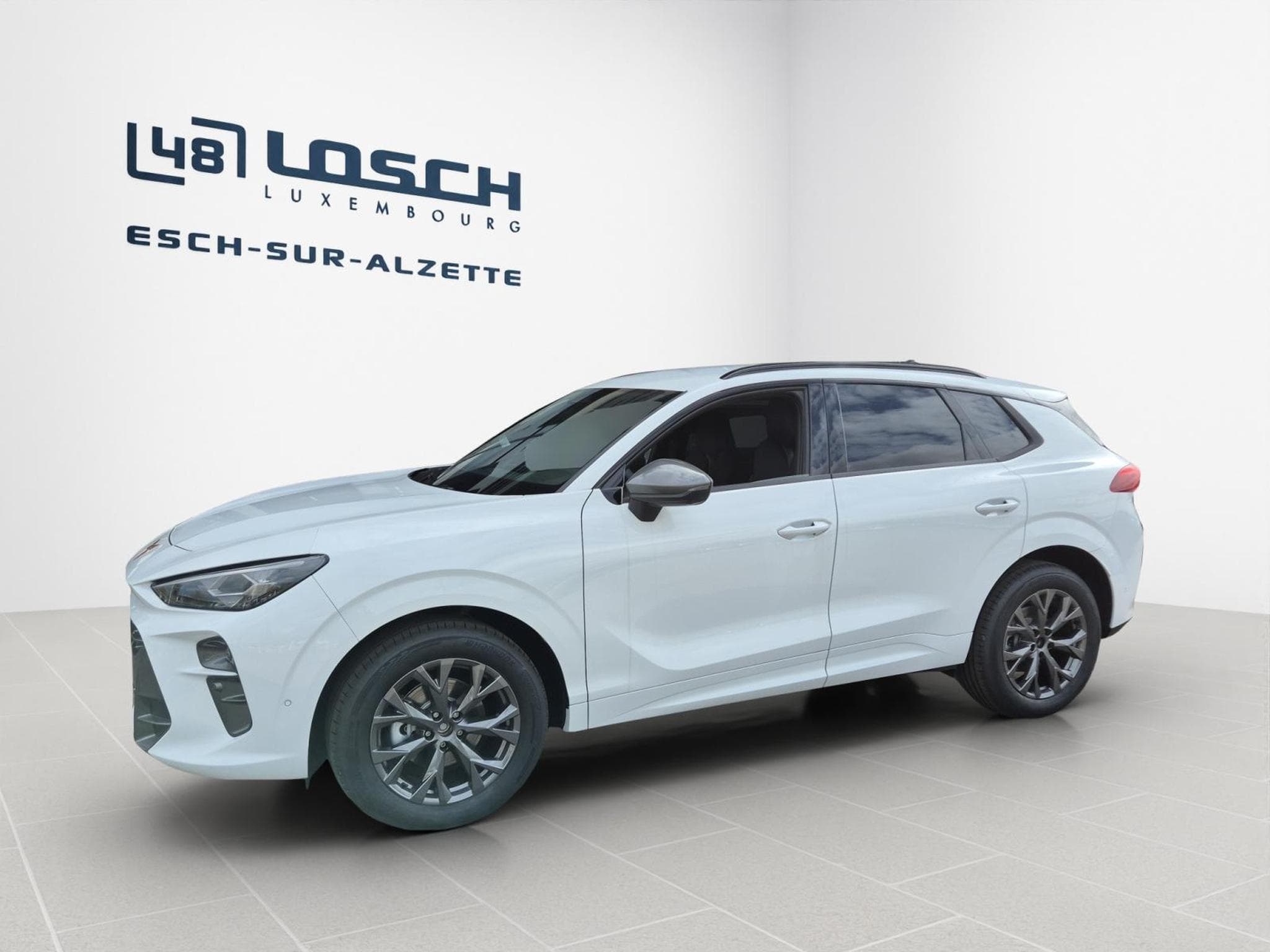 Cupra Terramar 1.5 eTSI - 150 CV MHEV (2026) - Photo 3