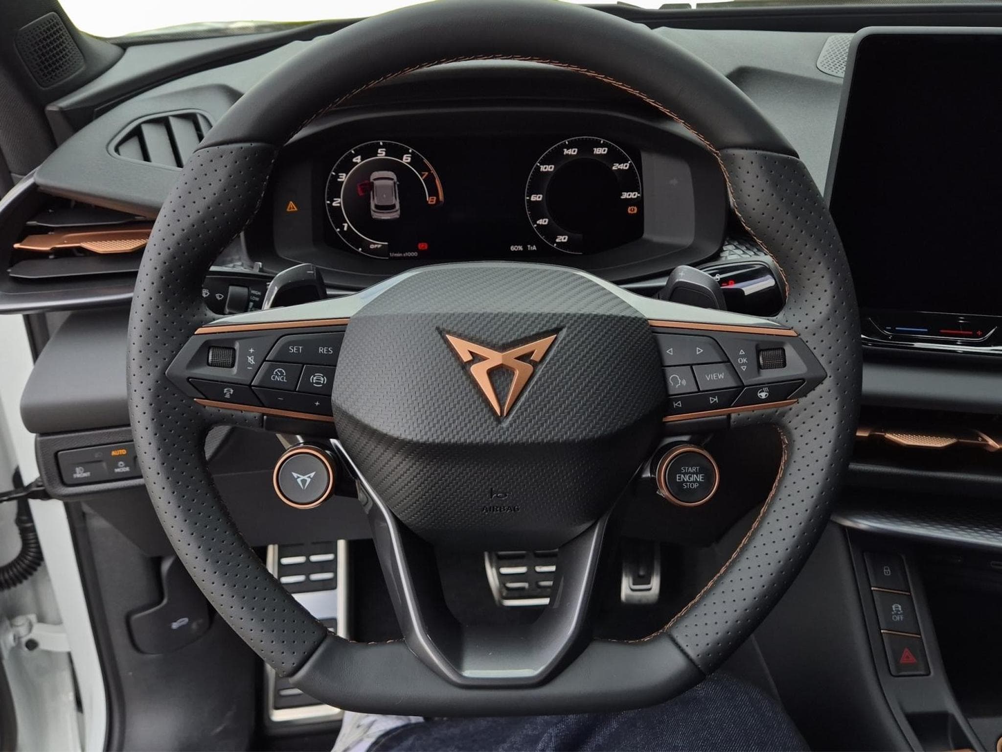 Cupra Terramar 1.5 eTSI - 150 CV MHEV (2026) - Photo 9