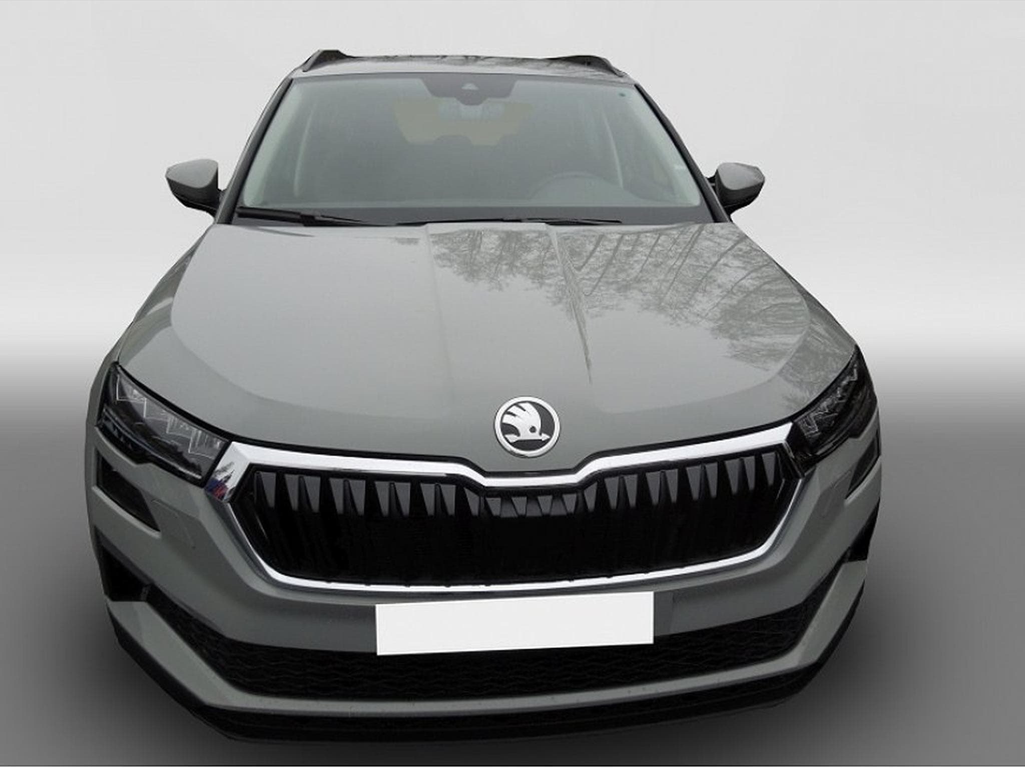 Skoda Karoq (2026) - Foto 2