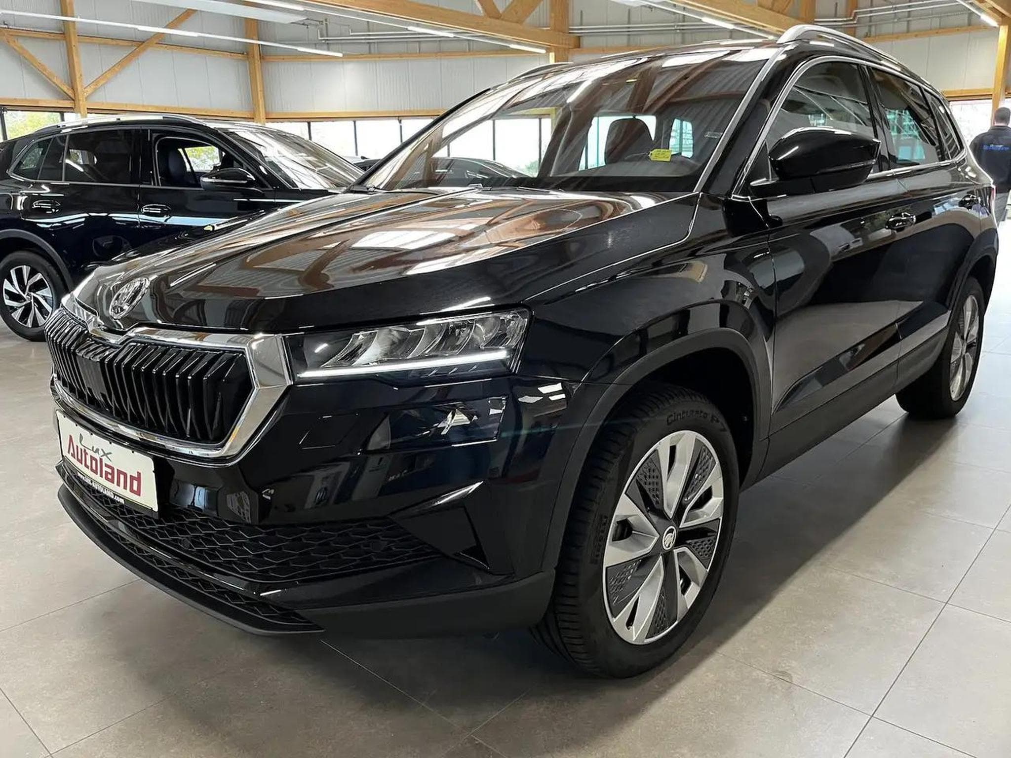 Skoda Karoq (2024) - Photo 24