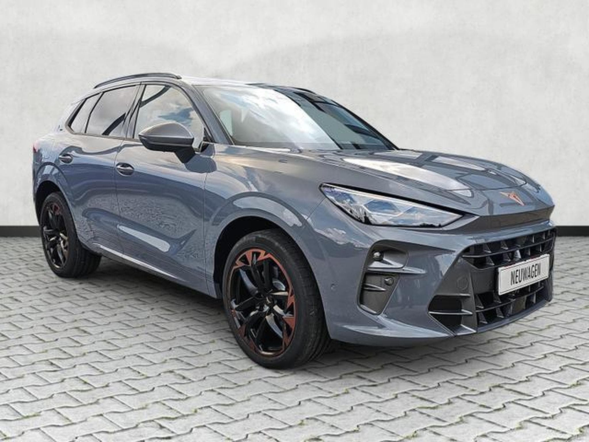 Cupra Terramar 2.0 TSI 195 kW 4Drive VZ (2025) - Photo 1