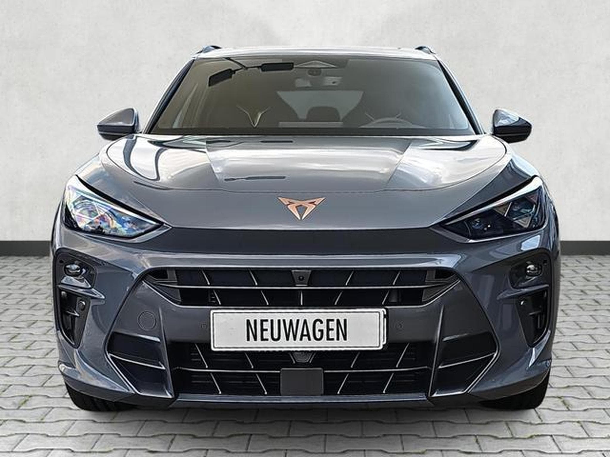 Cupra Terramar 2.0 TSI 195 kW 4Drive VZ (2025) - Photo 2