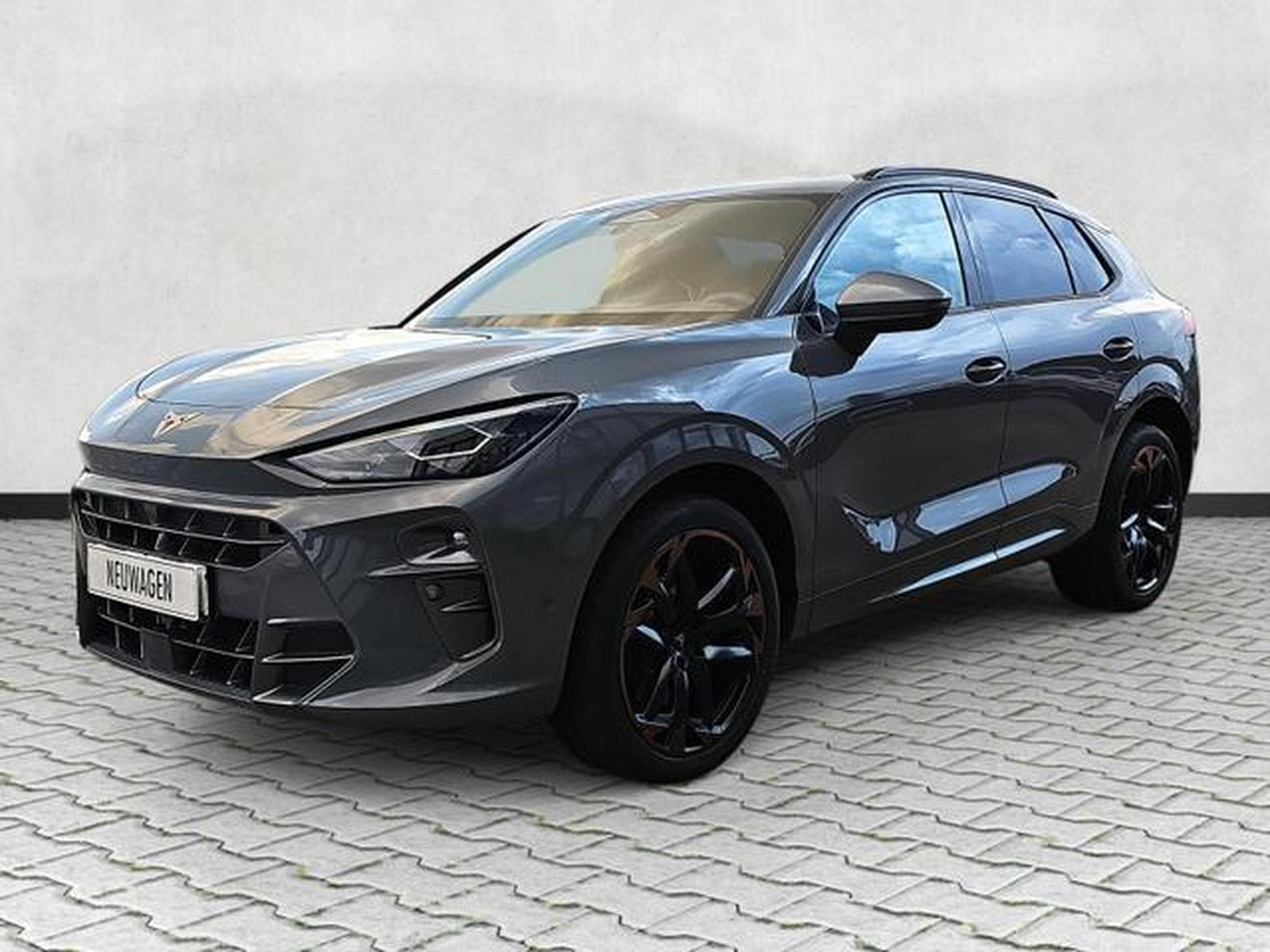 Cupra Terramar 2.0 TSI 195 kW 4Drive VZ (2025) - Photo 3