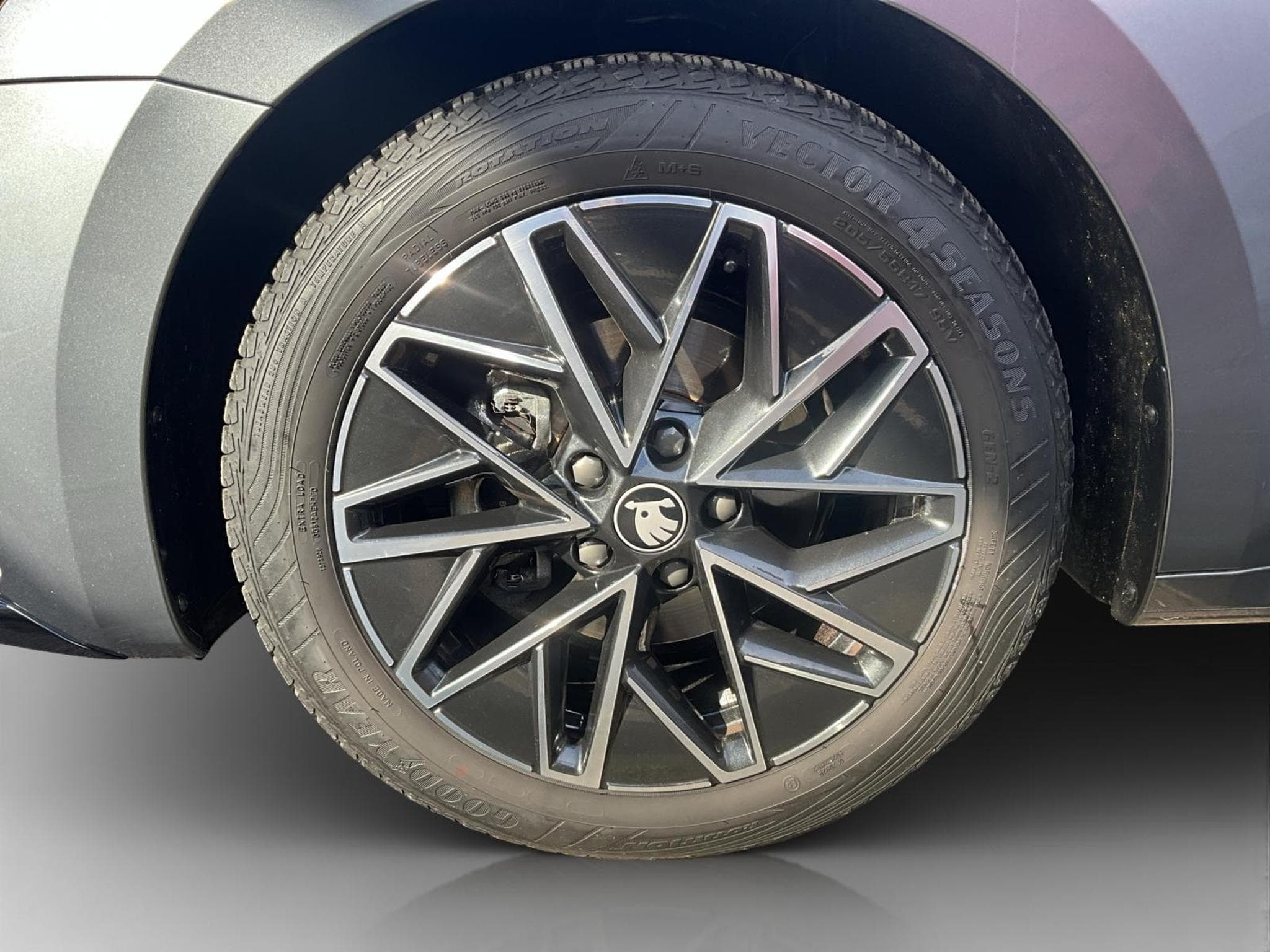 Skoda Octavia Sportline+DSG+StandH.+P.Comfort (2025) - Foto 8