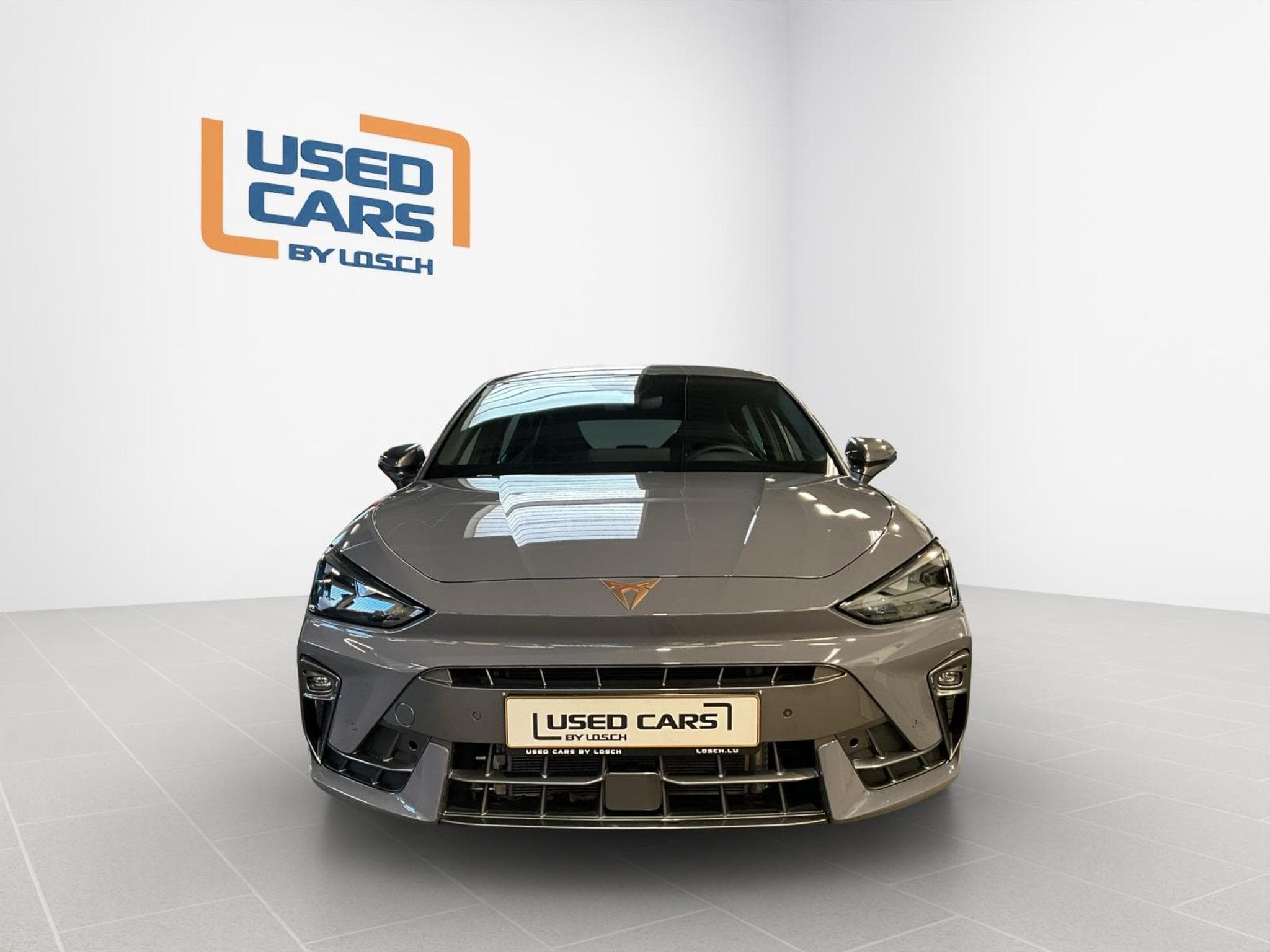 Cupra Leon Leon+Pure-Perf.+Dinamica+Int.Drive (2025) - Foto 3