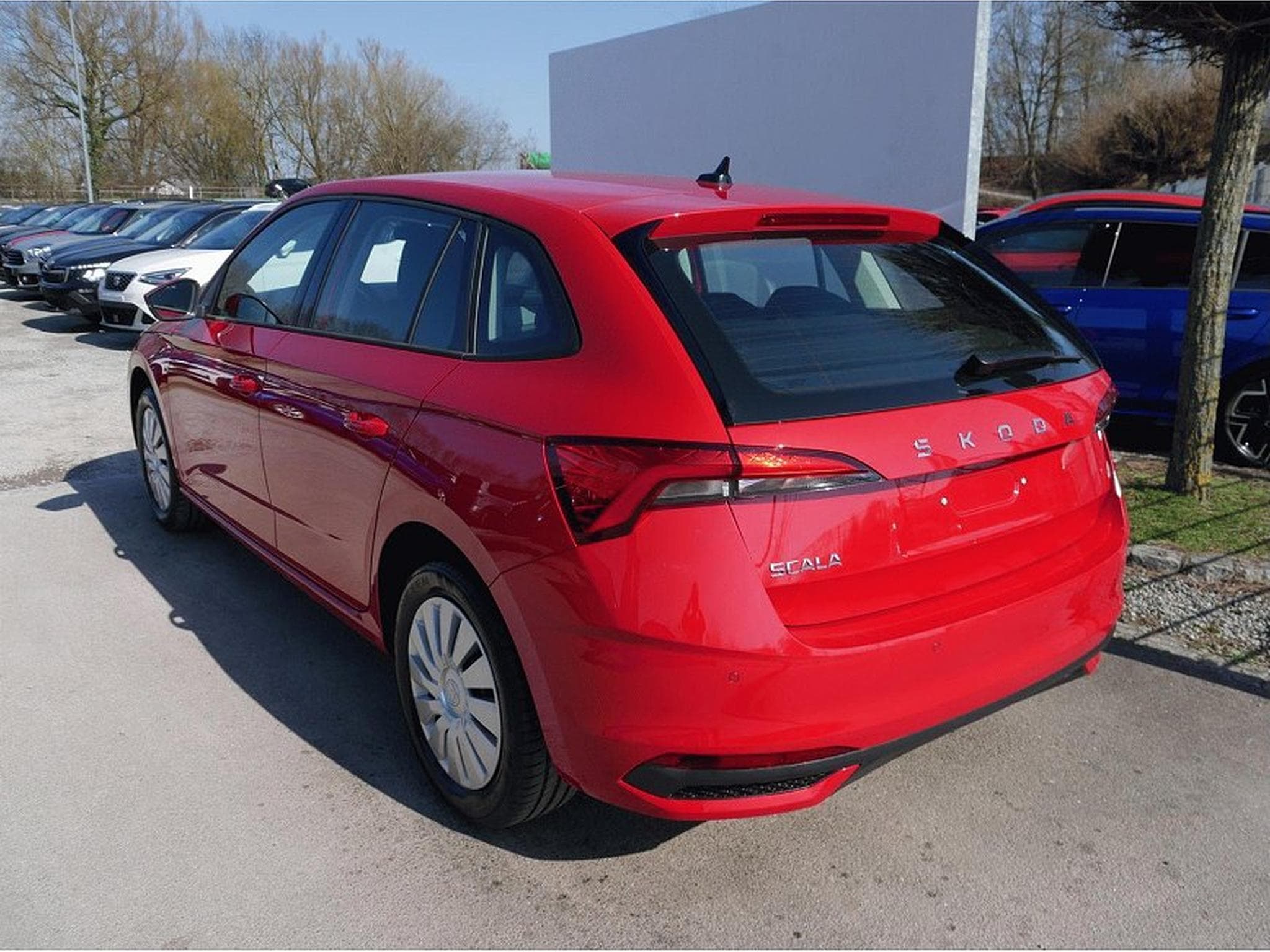 Skoda Scala (2026) - Foto 6