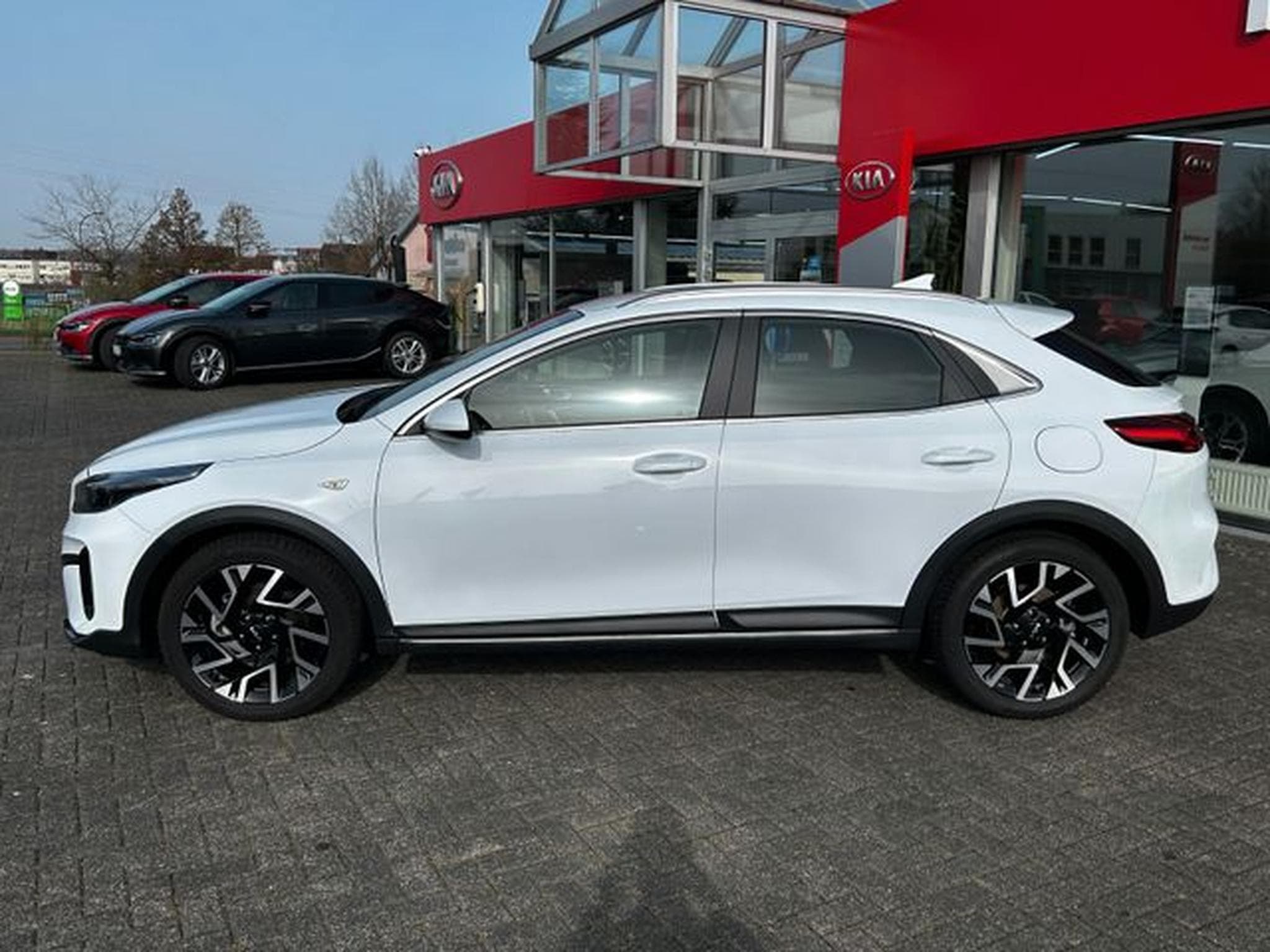 Kia XCeed XCeed 1,5T DCT Vision KomfortNavi Kamera LED (2025) - Photo 4