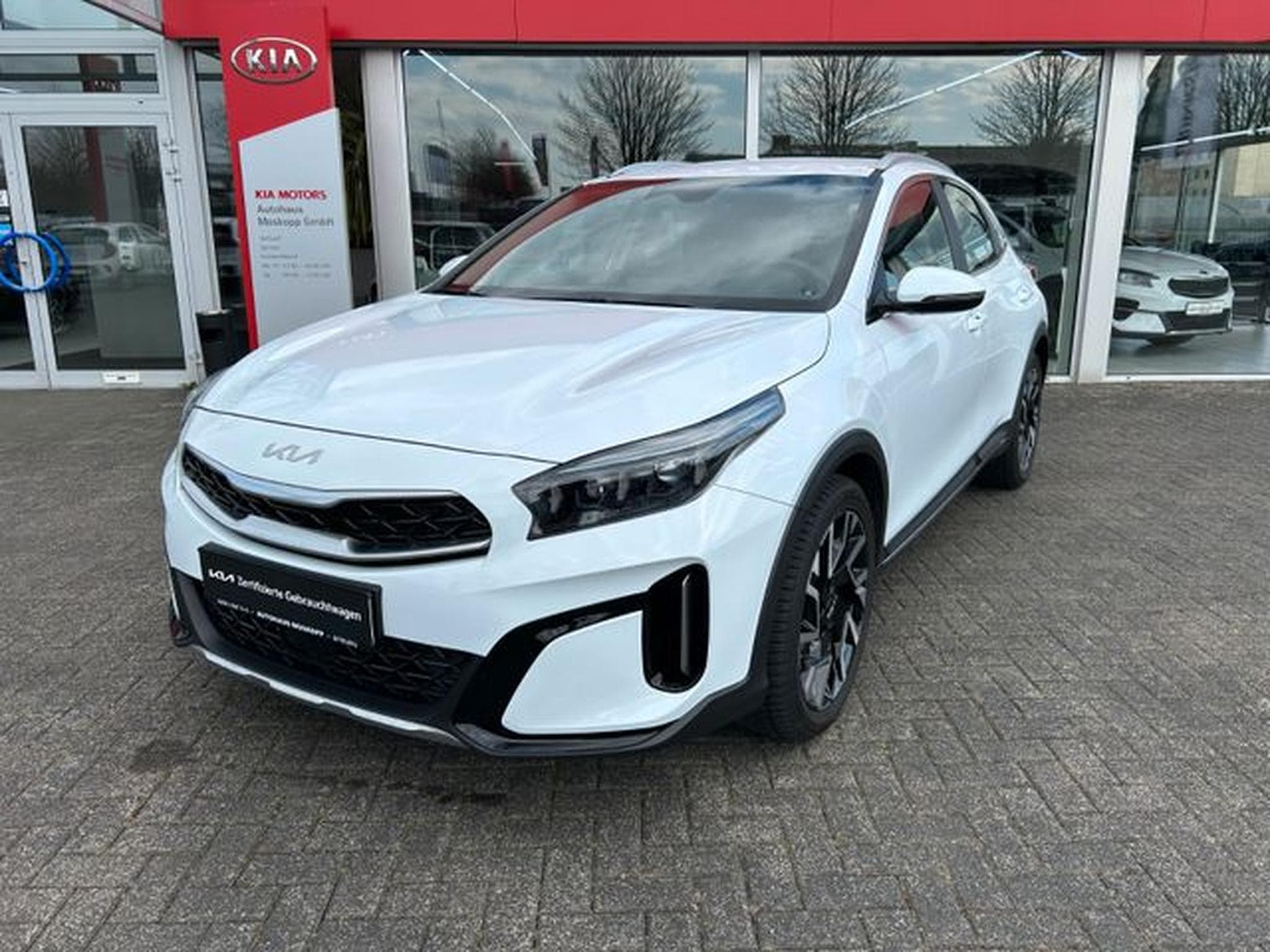 Kia XCeed XCeed 1.5 T-GDI DCT Spirit LED Navi Kamera JBL (2025) - Foto 3