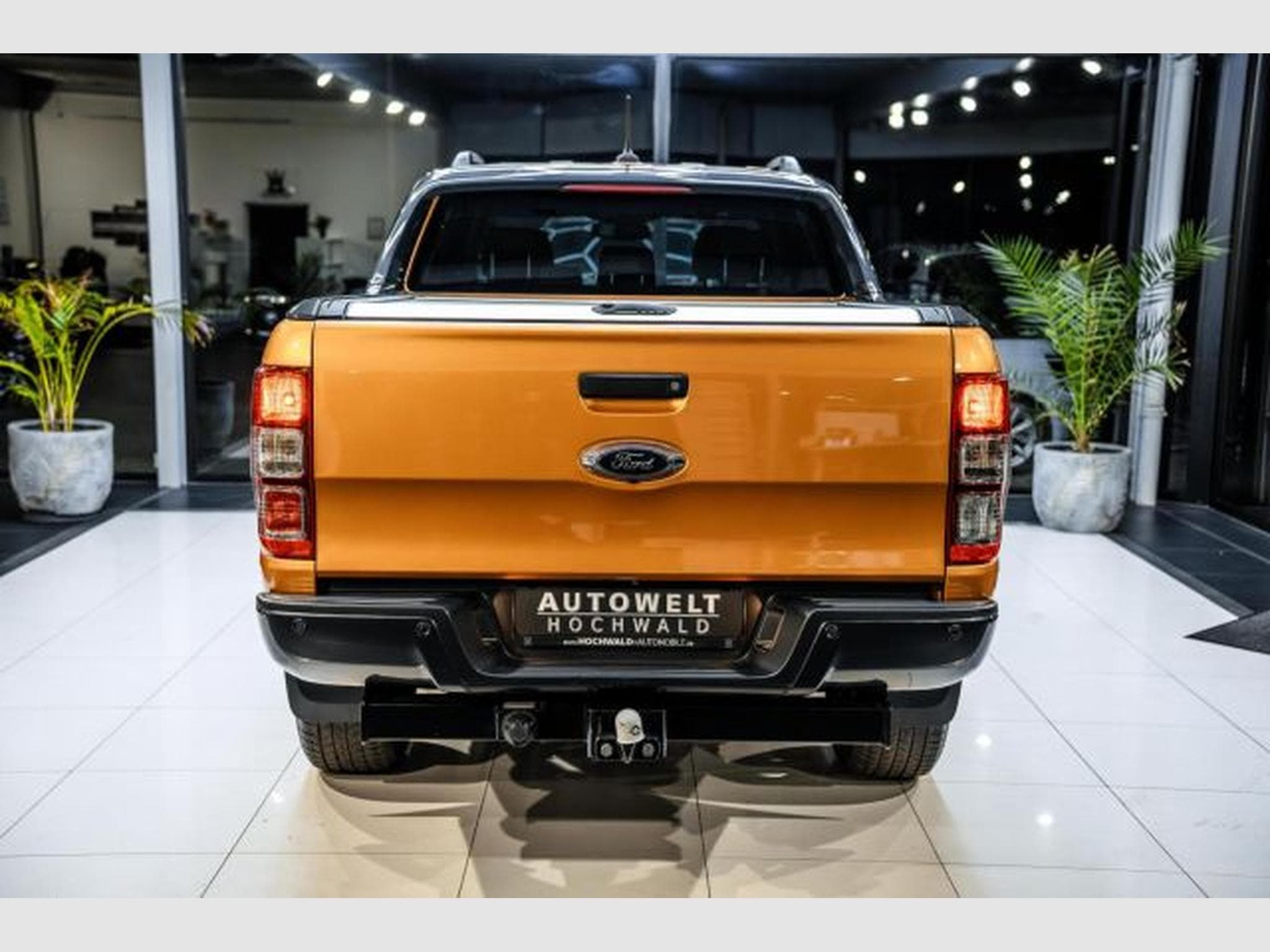 Ford Ranger Ranger DoCab 2.0 TDCI 4x4 Wildtrak NAVI AHK RFK (2019) - Foto 13