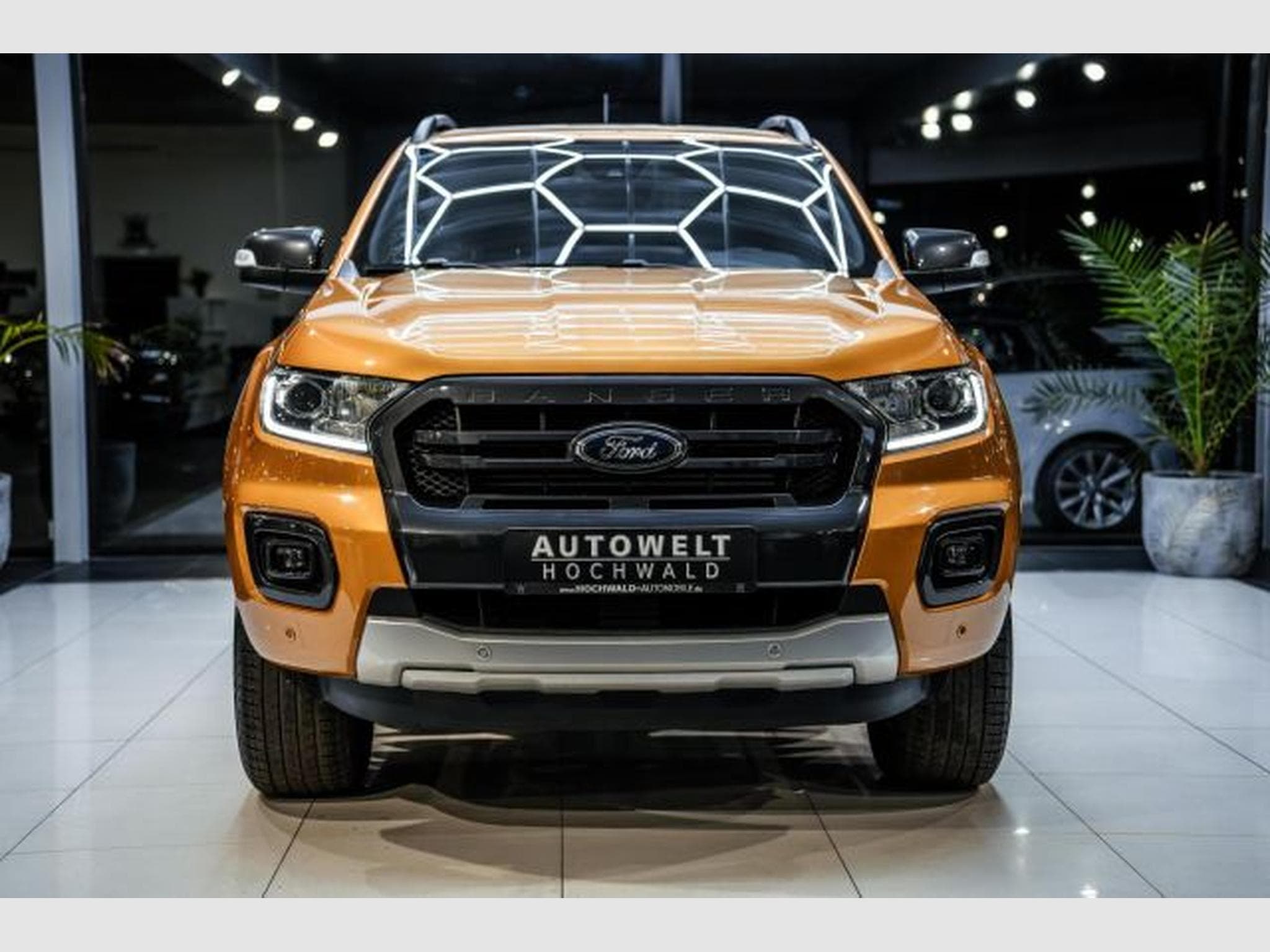 Ford Ranger Ranger DoCab 2.0 TDCI 4x4 Wildtrak NAVI AHK RFK (2019) - Foto 5