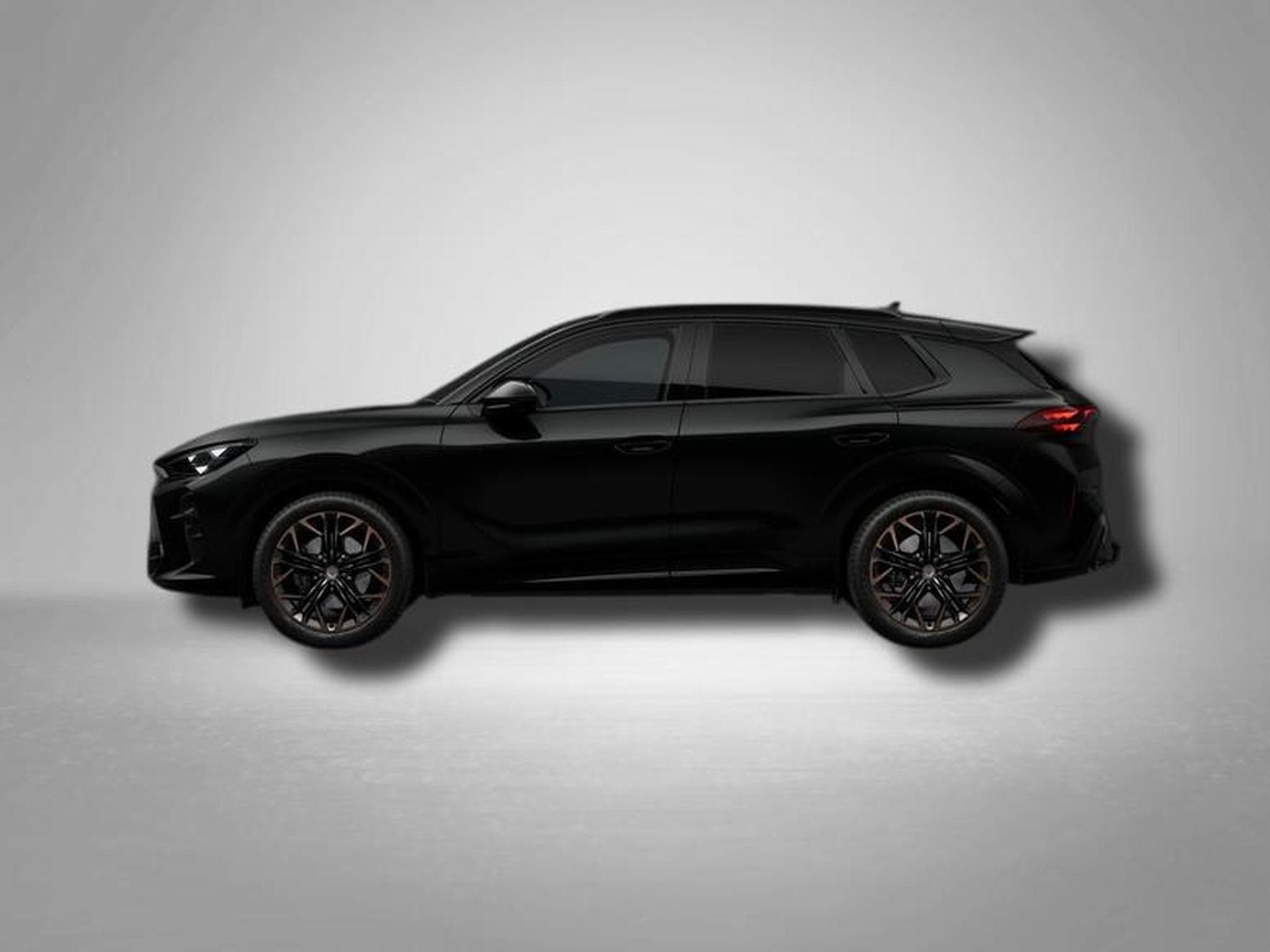 Cupra Terramar VZ 2.0 TSI 7-Gang-DSG 4Drive (2026) - Photo 2