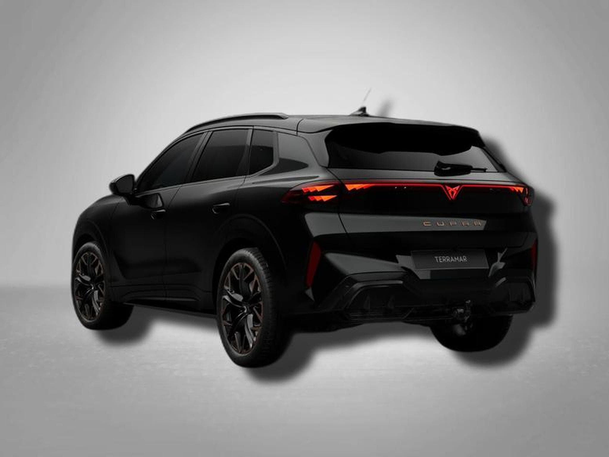 Cupra Terramar VZ 2.0 TSI 7-Gang-DSG 4Drive (2026) - Photo 3