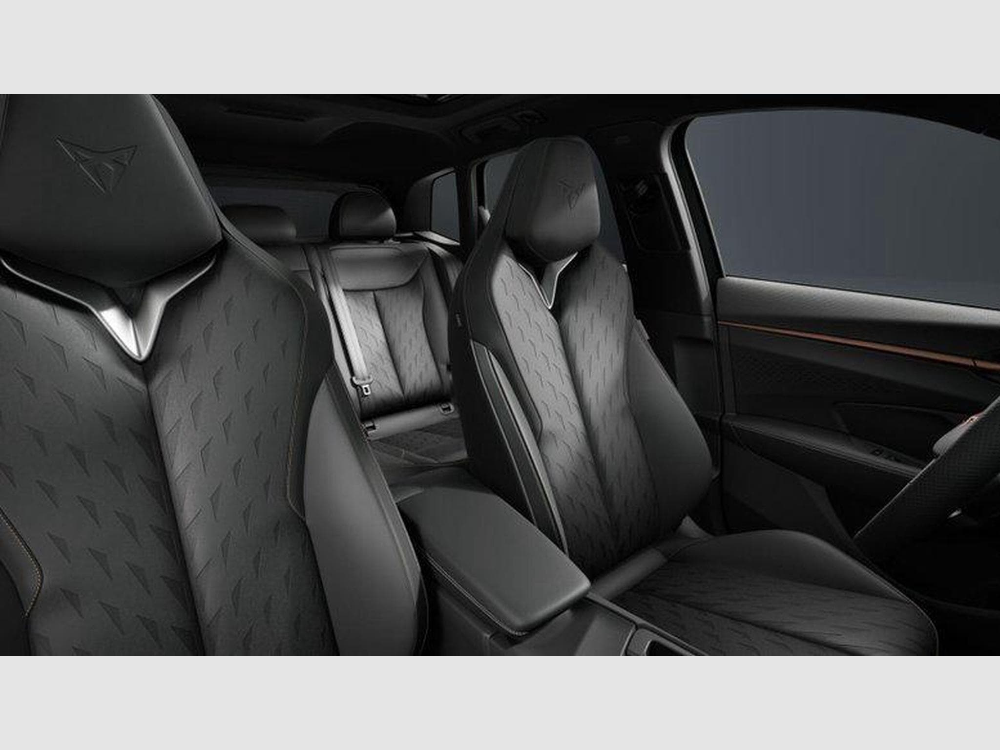 Cupra Terramar VZ 2.0 TSI 7-Gang-DSG 4Drive (2026) - Photo 5