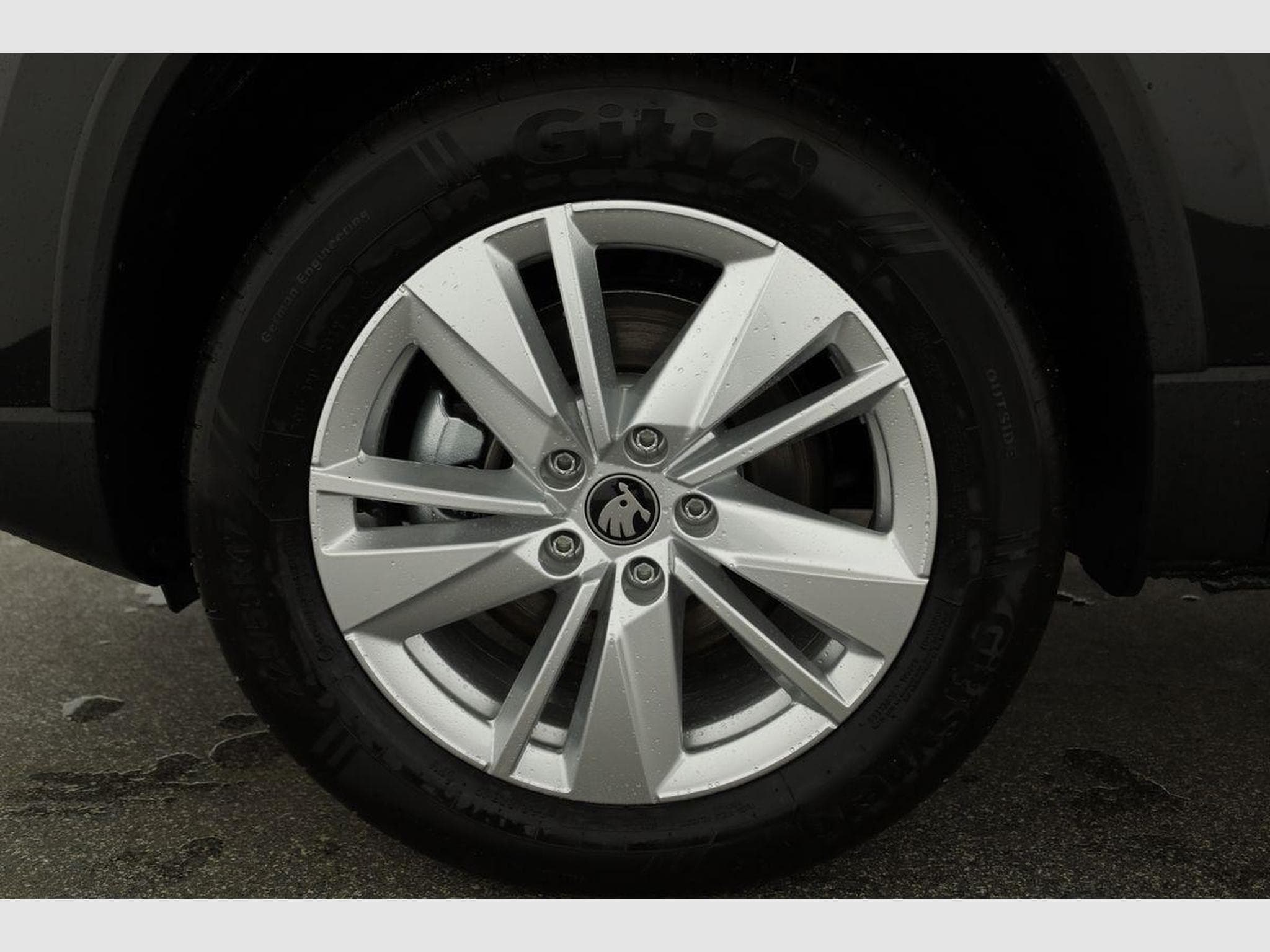 Skoda Karoq Selection 4x4 (2026) - Foto 15