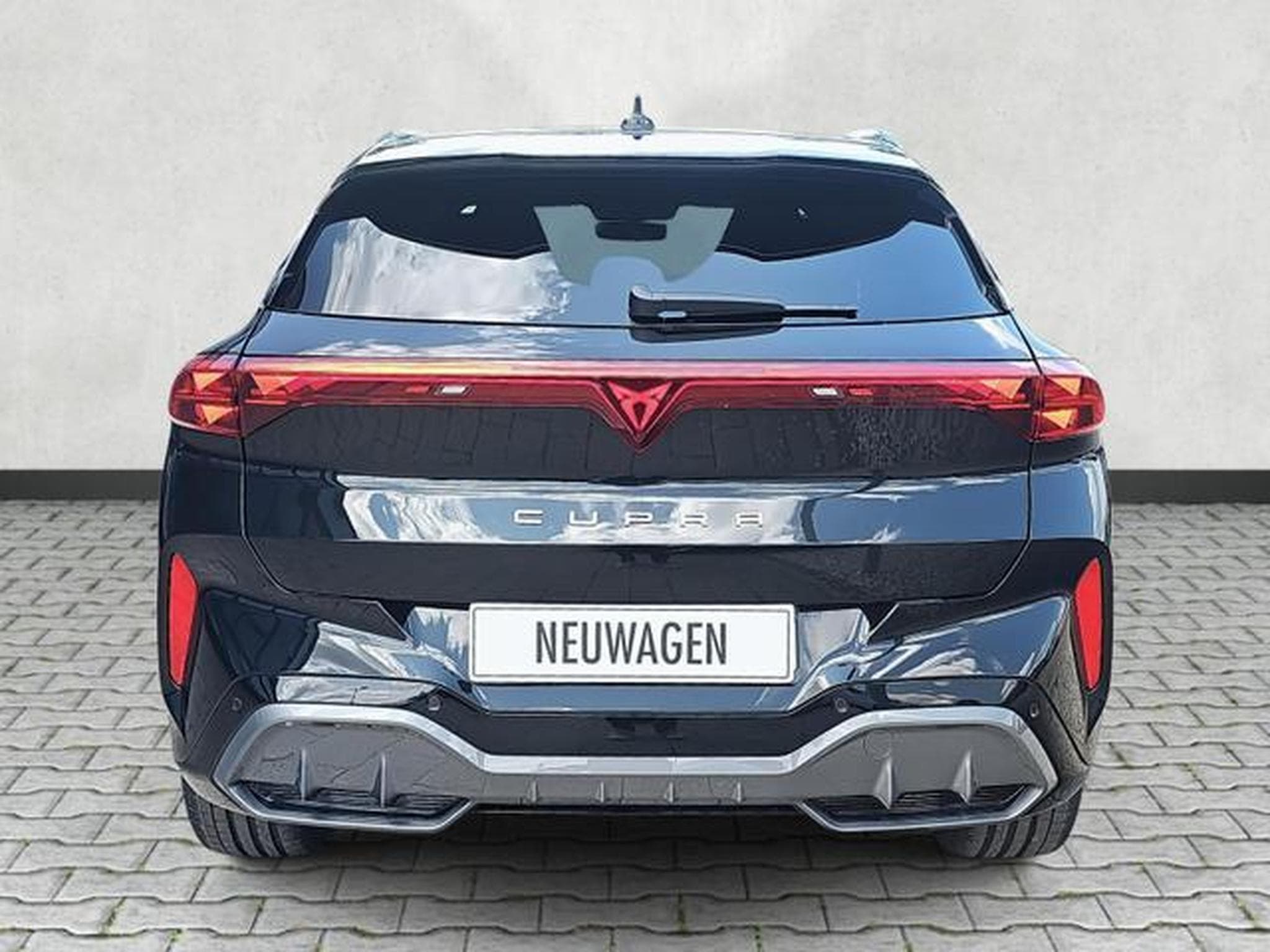 Cupra Terramar 2.0 TSI 195 kW 4Drive VZ (2025) - Foto 6