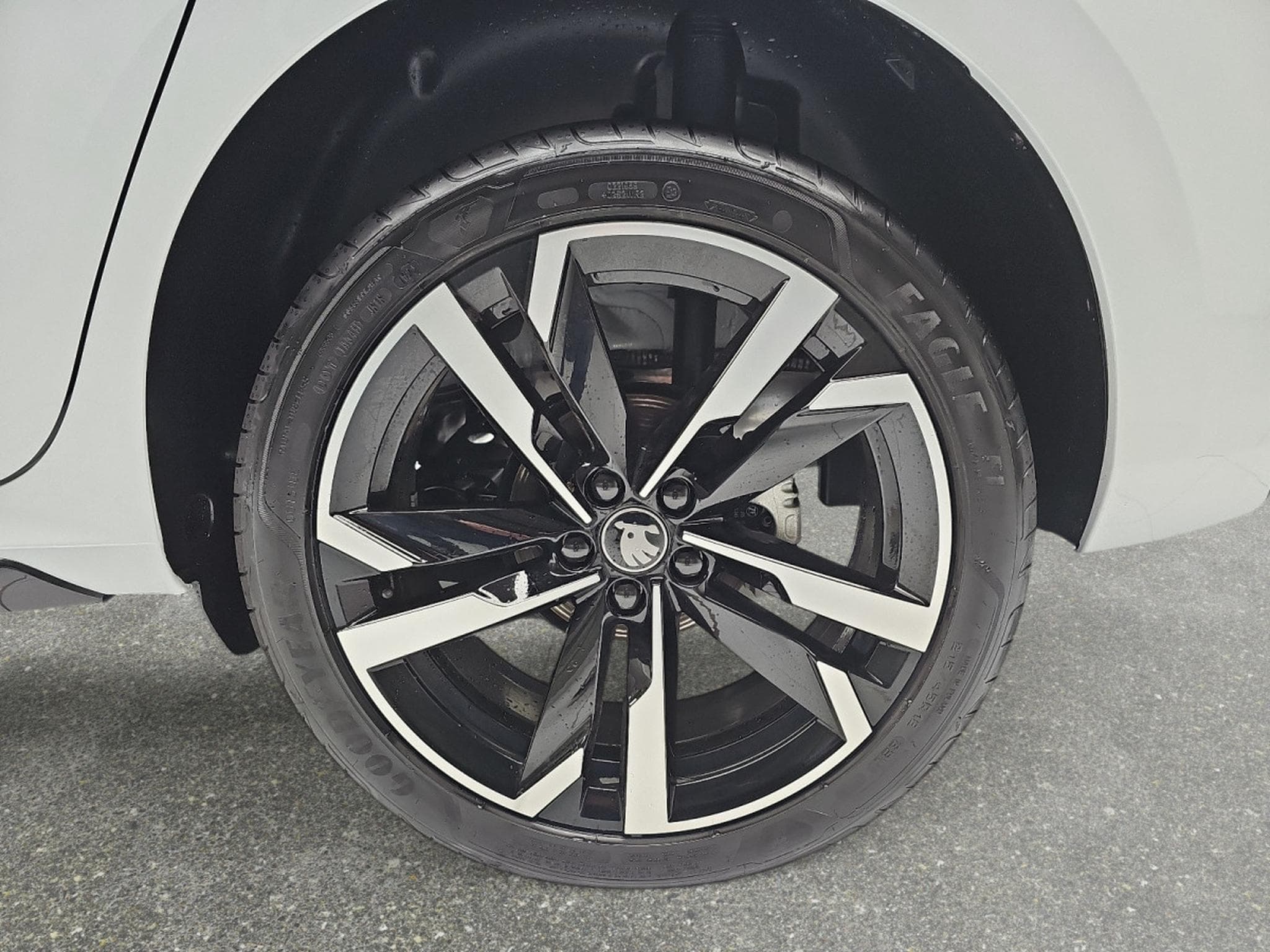 Skoda Kamiq 1.5 TSi 150 DSG Monte Carlo (2025) - Foto 6