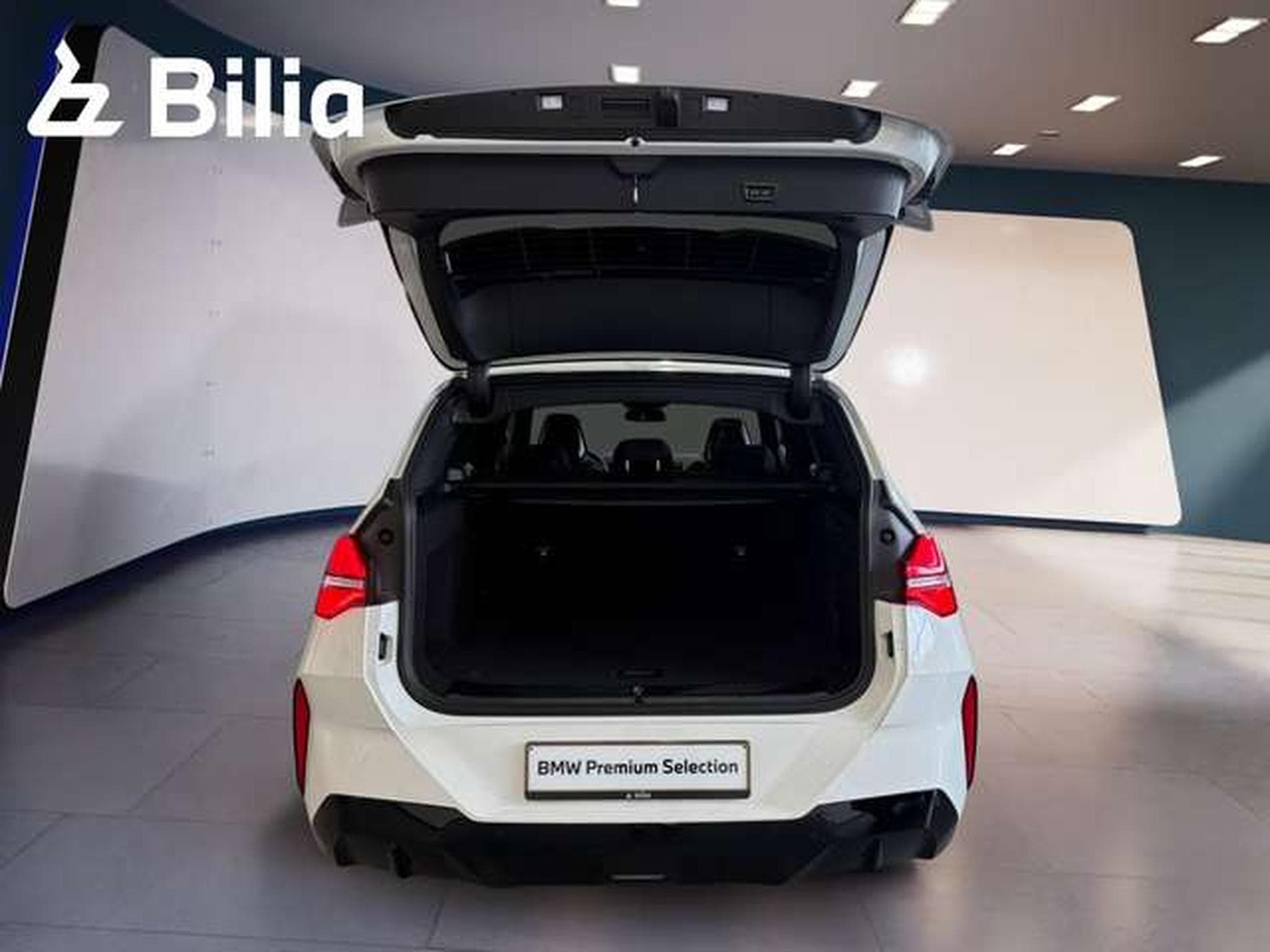 BMW X3 xDrive20i HK HiFi DAB LED Shz (2025) - Foto 10