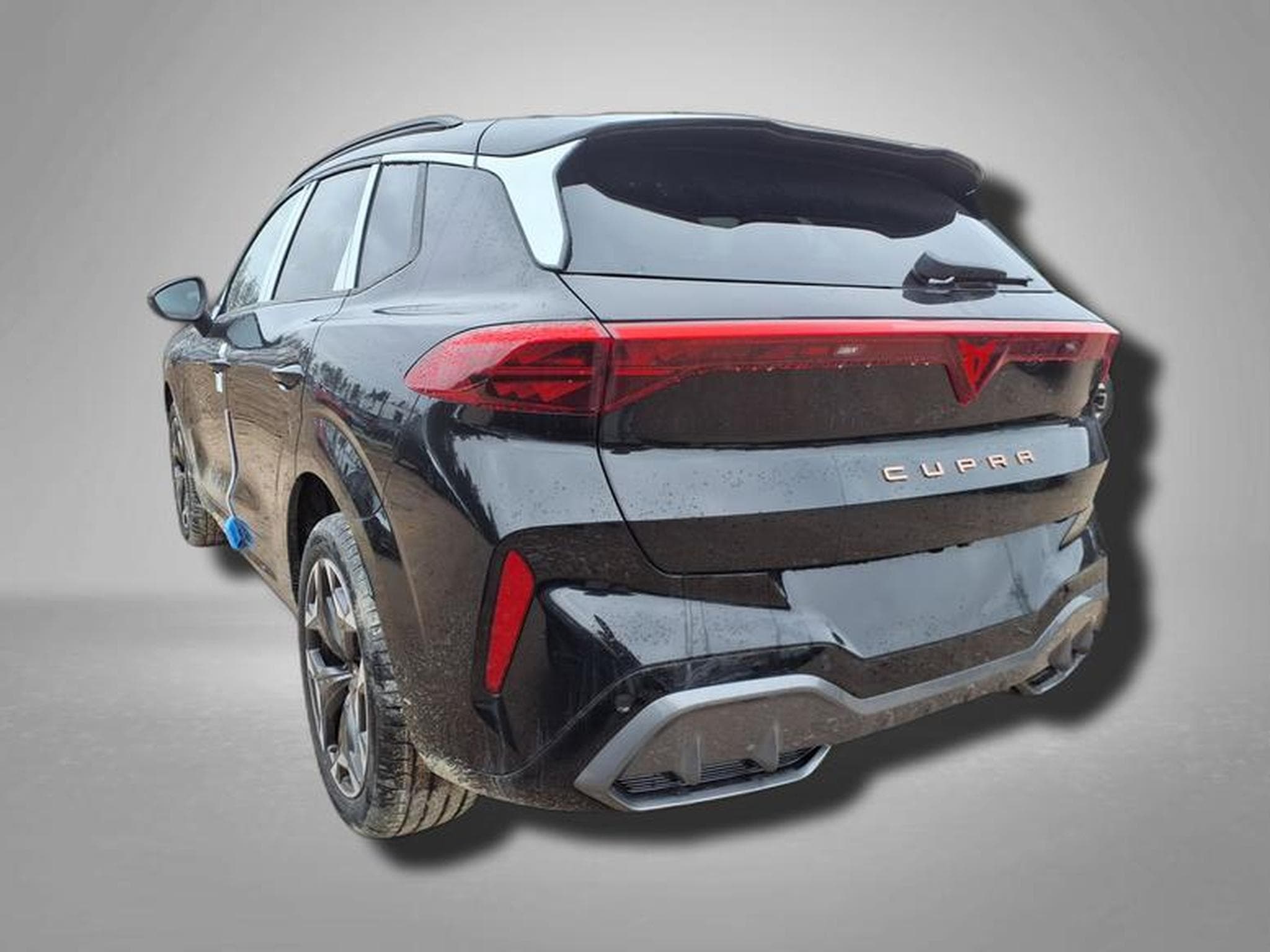 Cupra Terramar VZ 2.0 TSI 7-Gang-DSG 4Drive (2026) - Photo 1