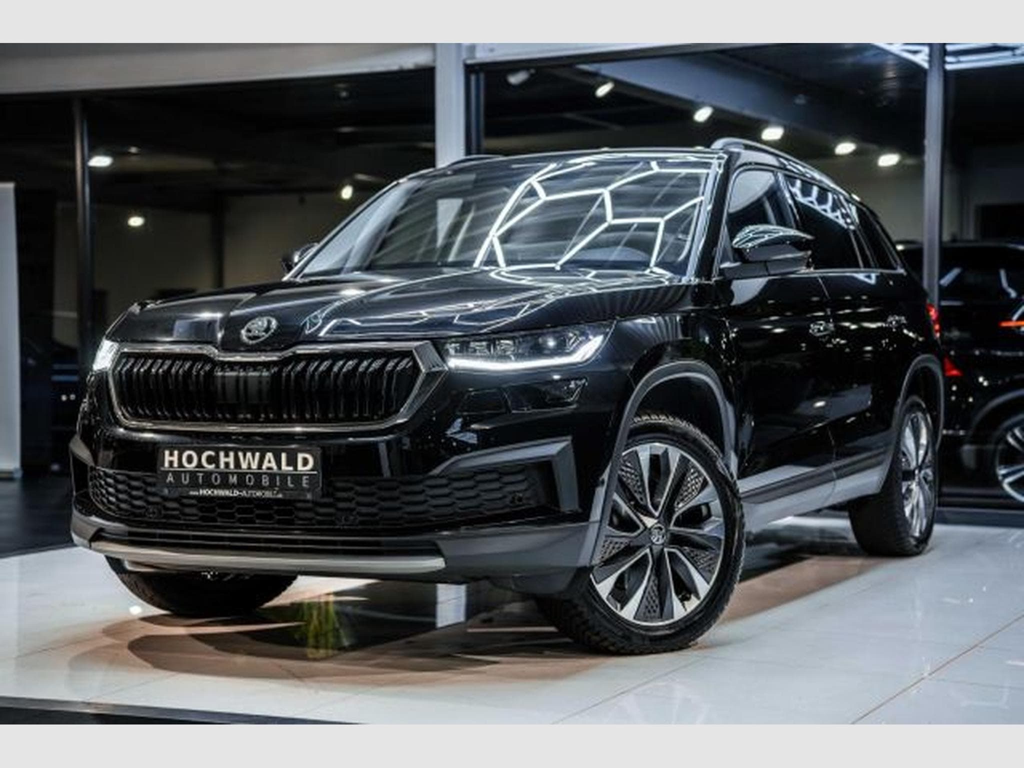 Skoda Kodiaq Kodiaq 2.0 TDI DSG Tour 4x4 NAVI LED RFK 7-Sitz (2022) - Photo 2