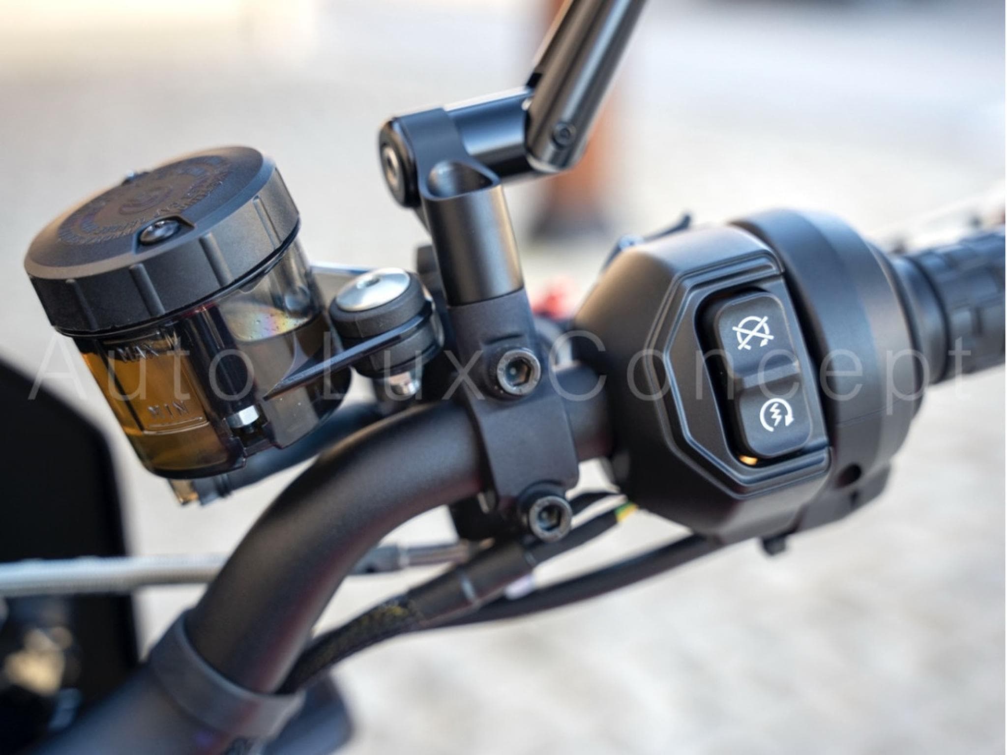 Indian FTR Sport Personnalisée (2024) - Foto 13