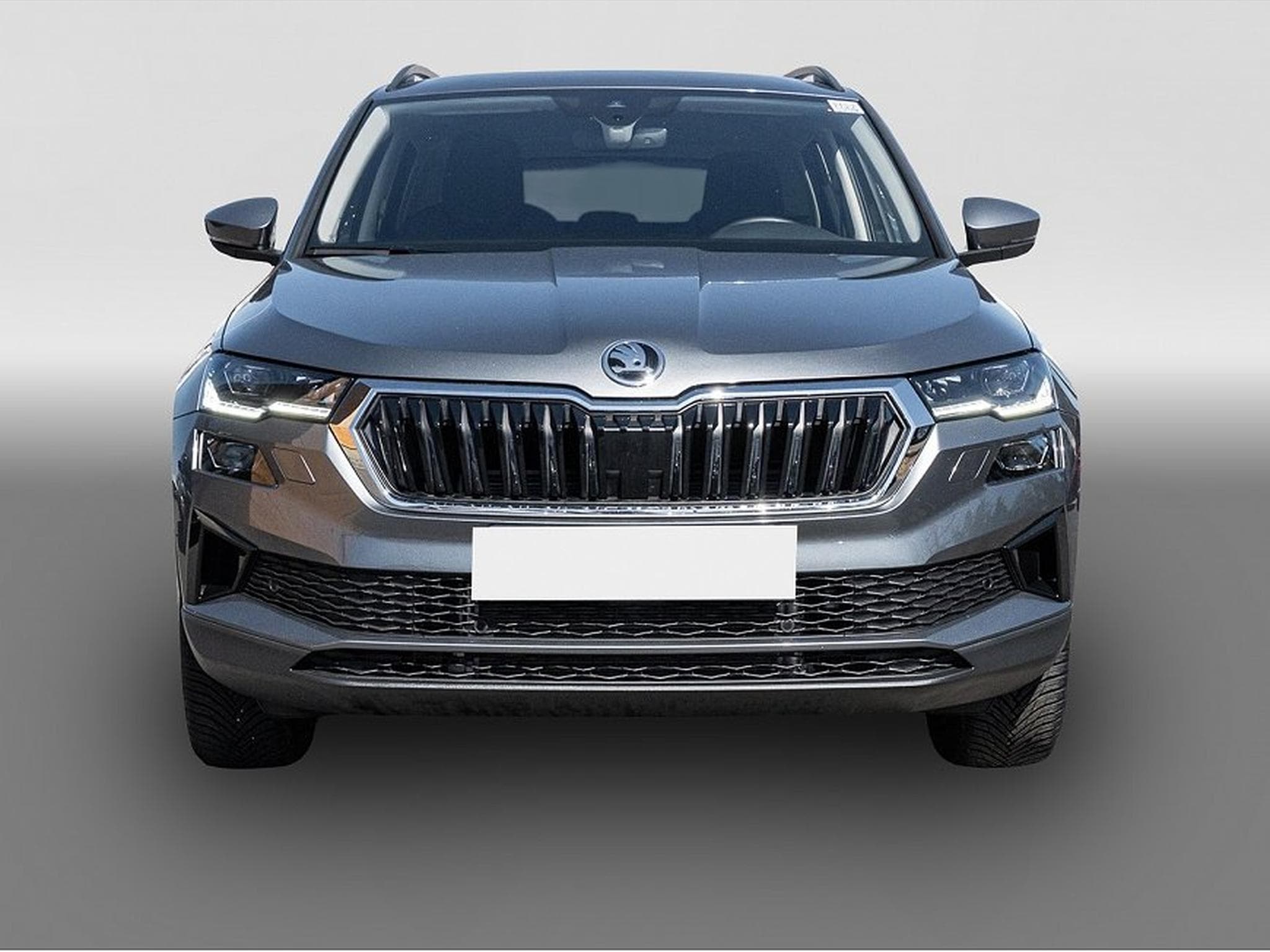 Skoda Karoq (2025) - Photo 2
