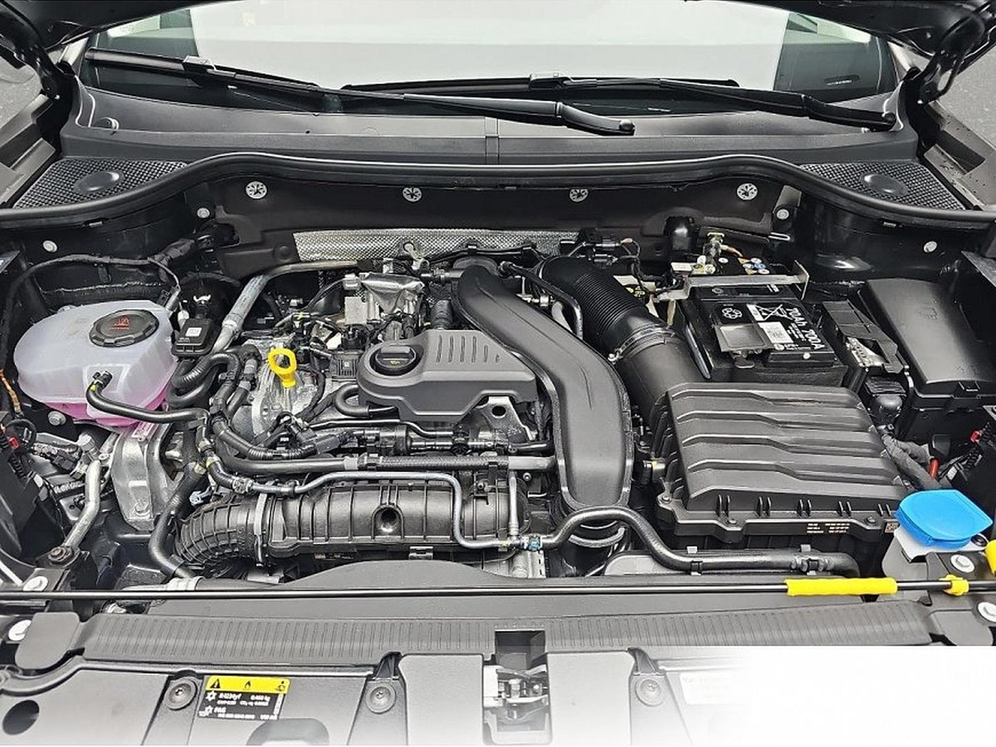 Cupra Ateca (2026) - Photo 14