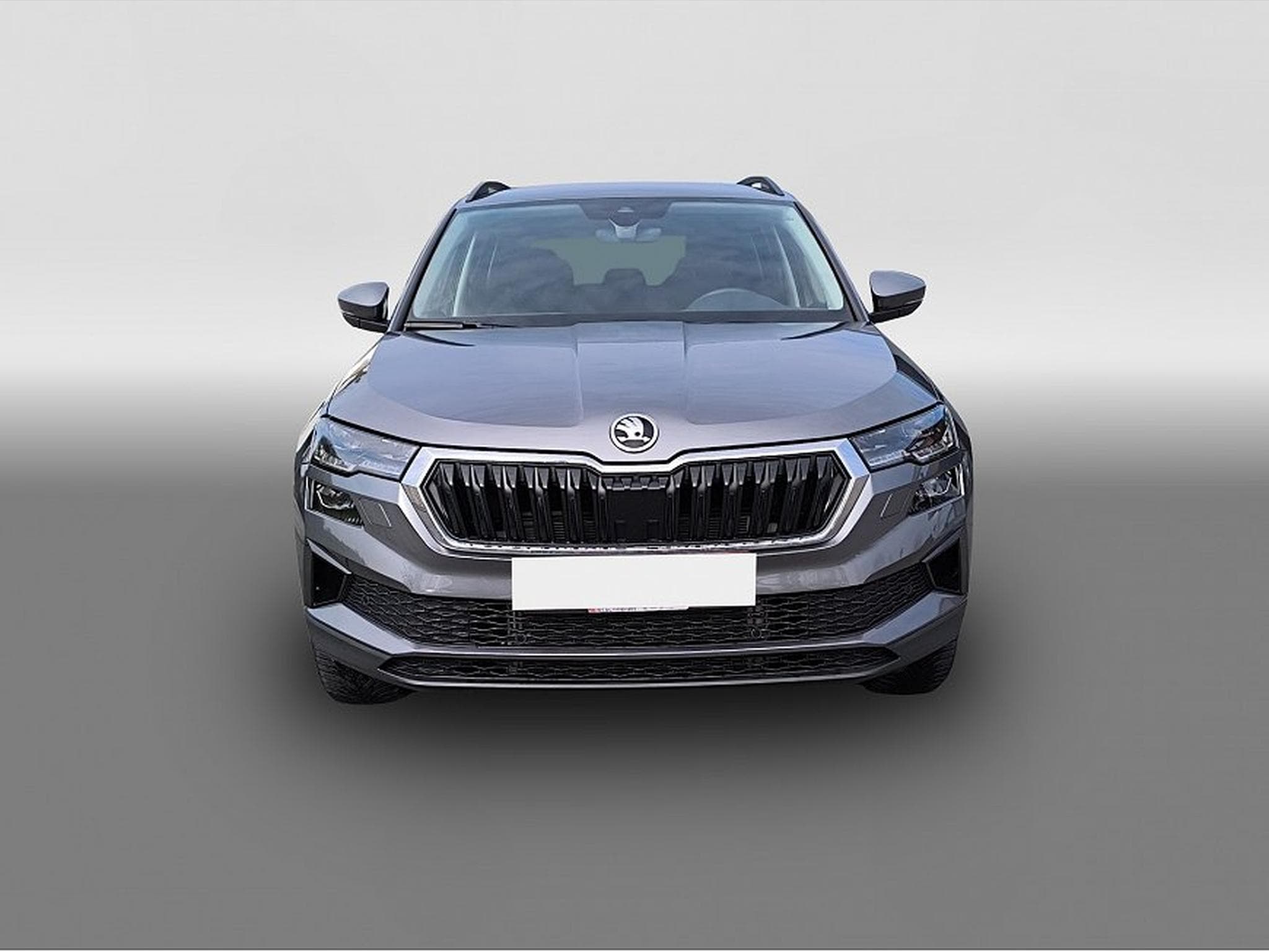 Skoda Karoq (2025) - Photo 2