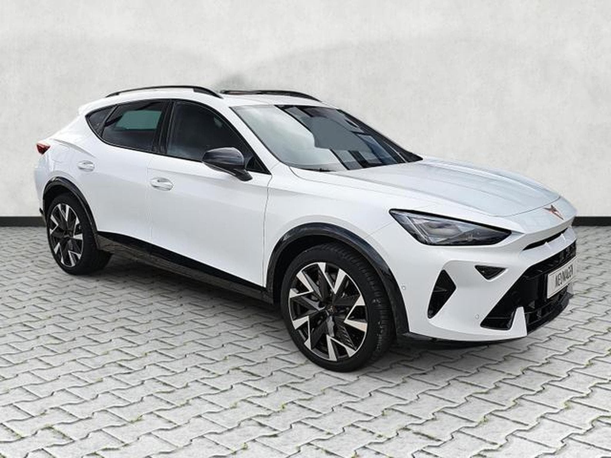 Cupra Formentor VZ 2.0 TSI 245 kW 4Drive (2025) - Photo 1