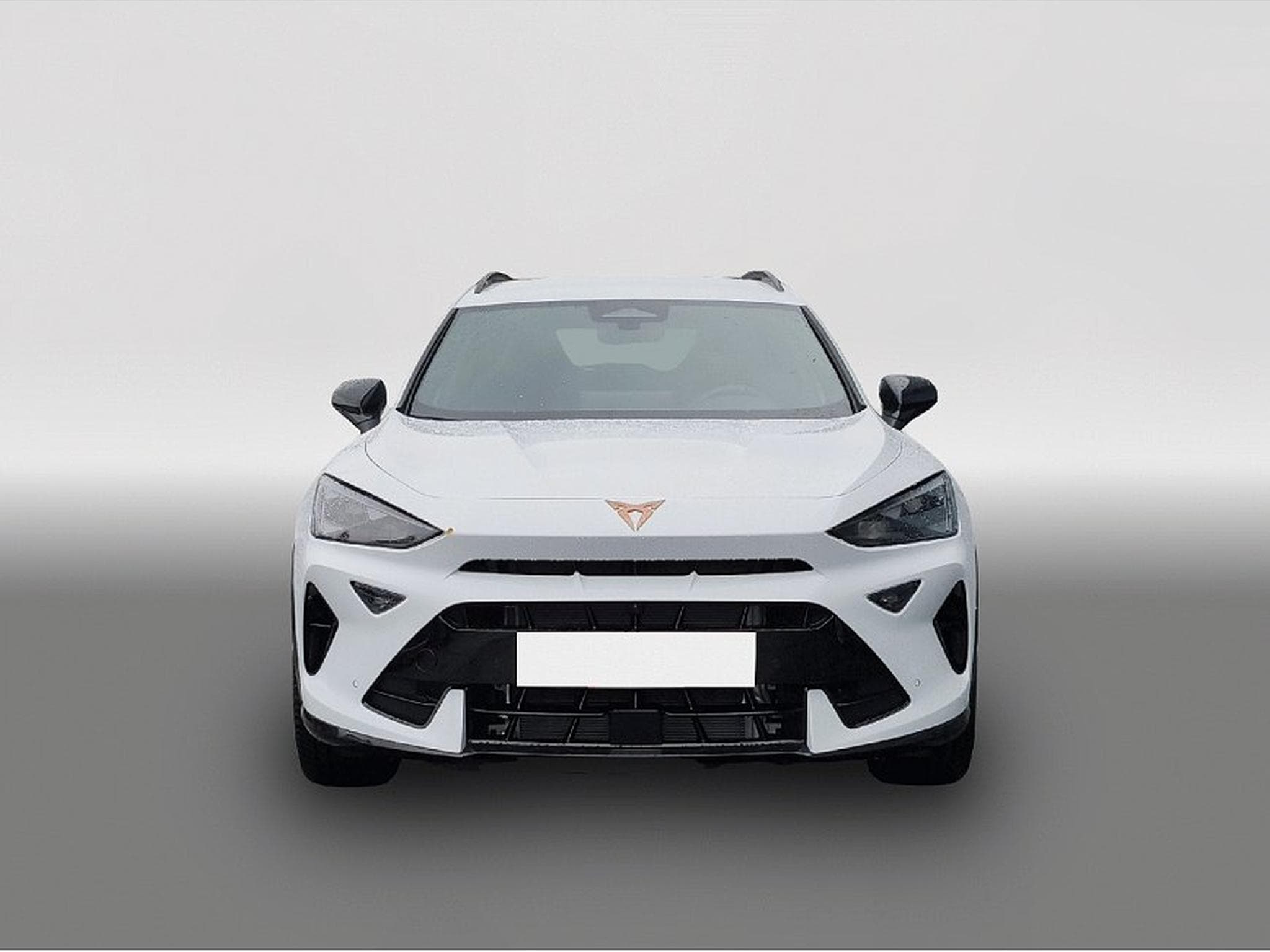 Cupra Formentor (2025) - Photo 2