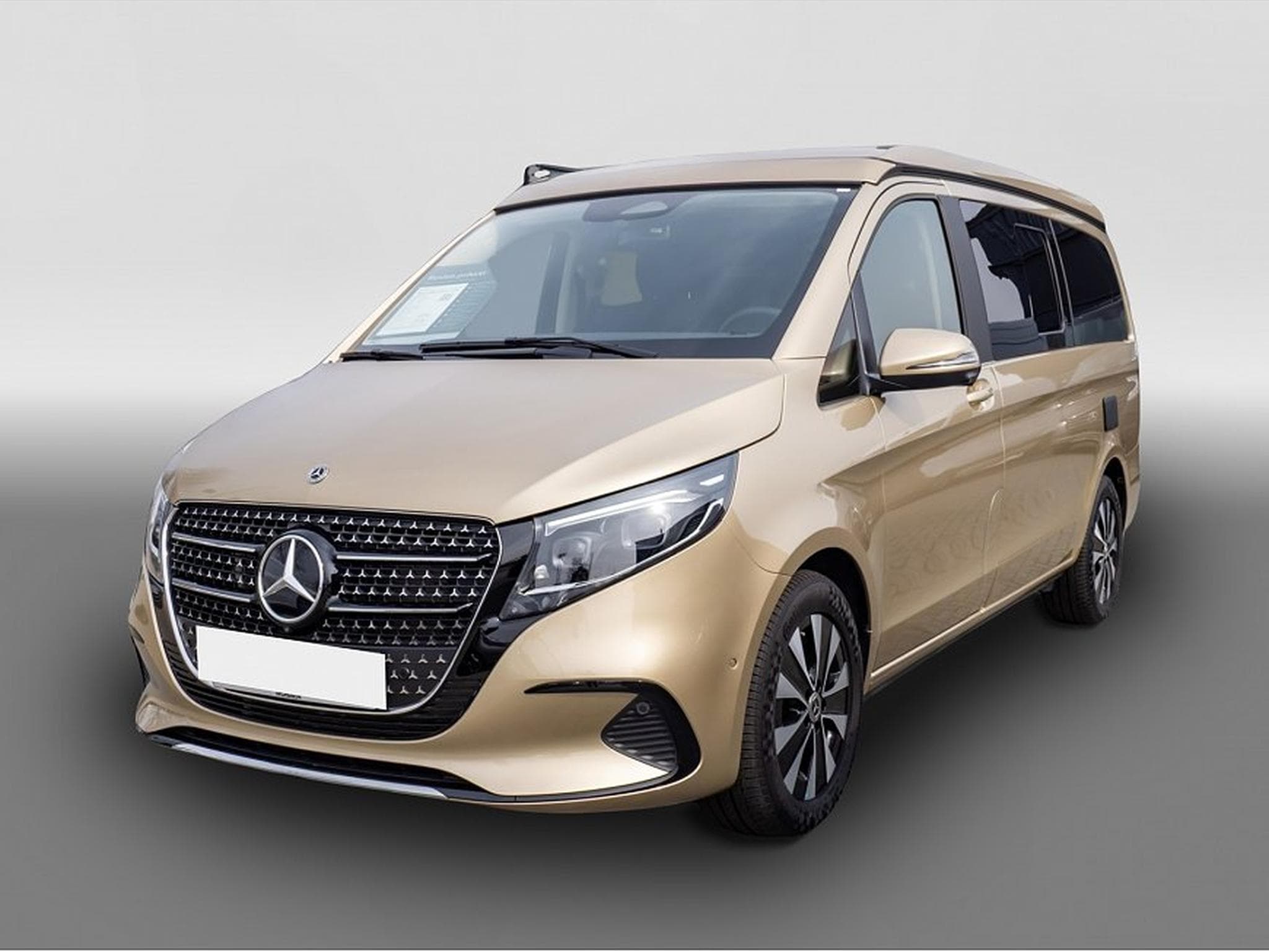 Mercedes Vito (2024) - Photo 1