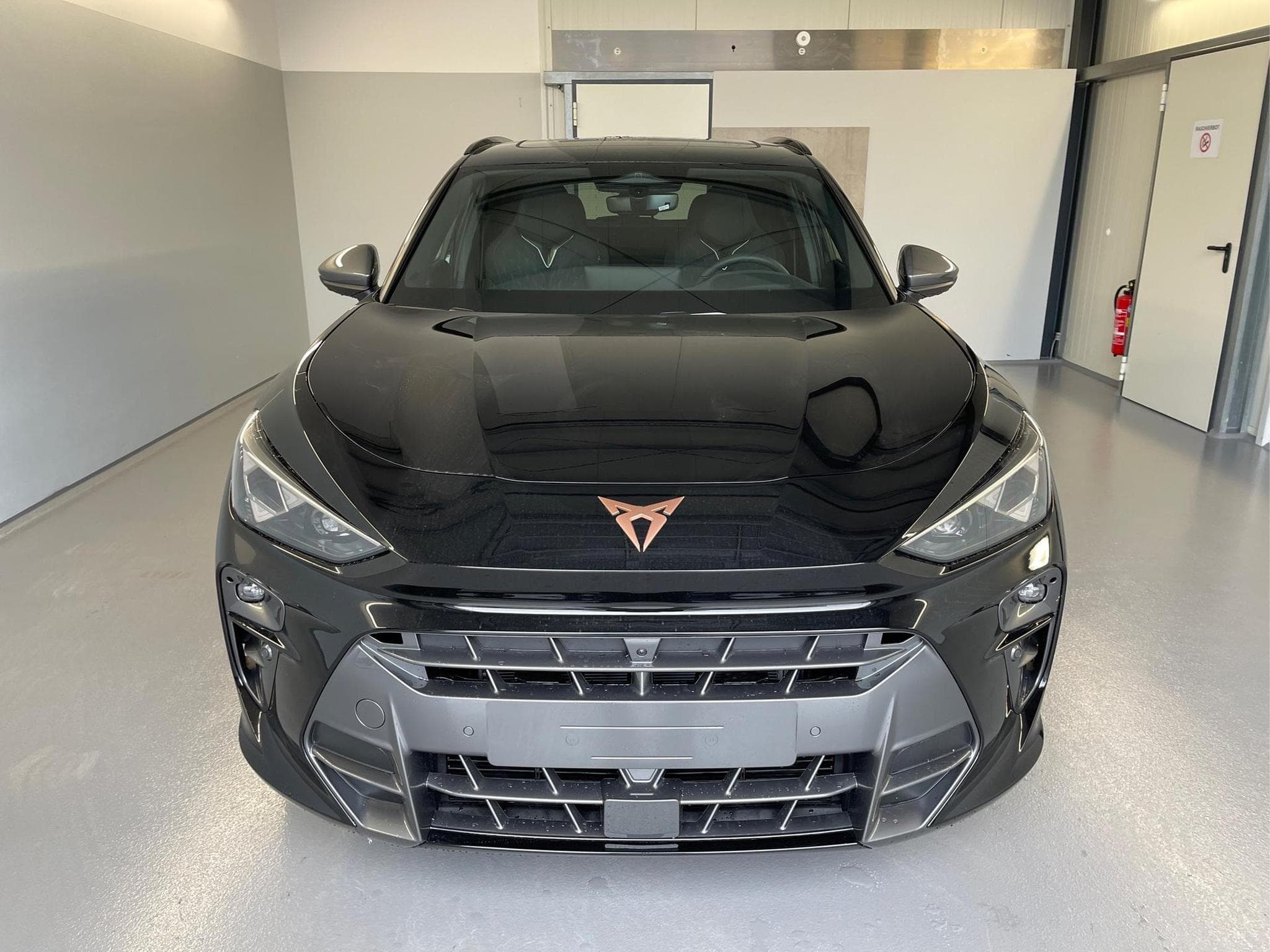 Cupra Terramar VZ (2026) - Foto 2