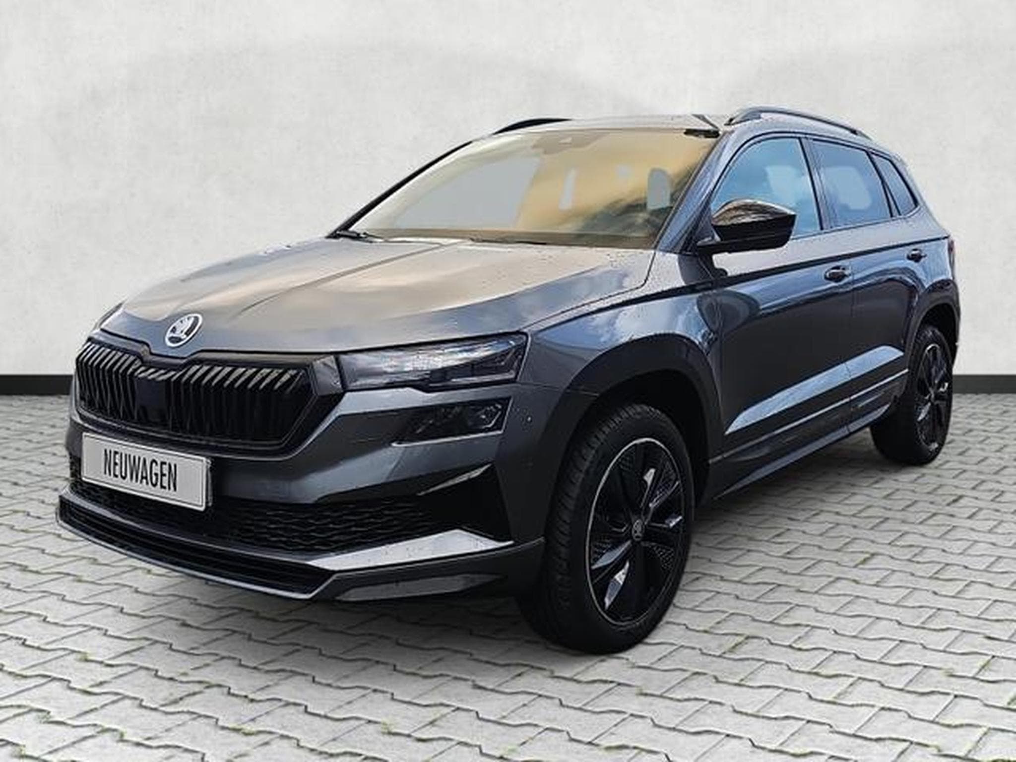 Skoda Karoq Sportline (2026) - Photo 3