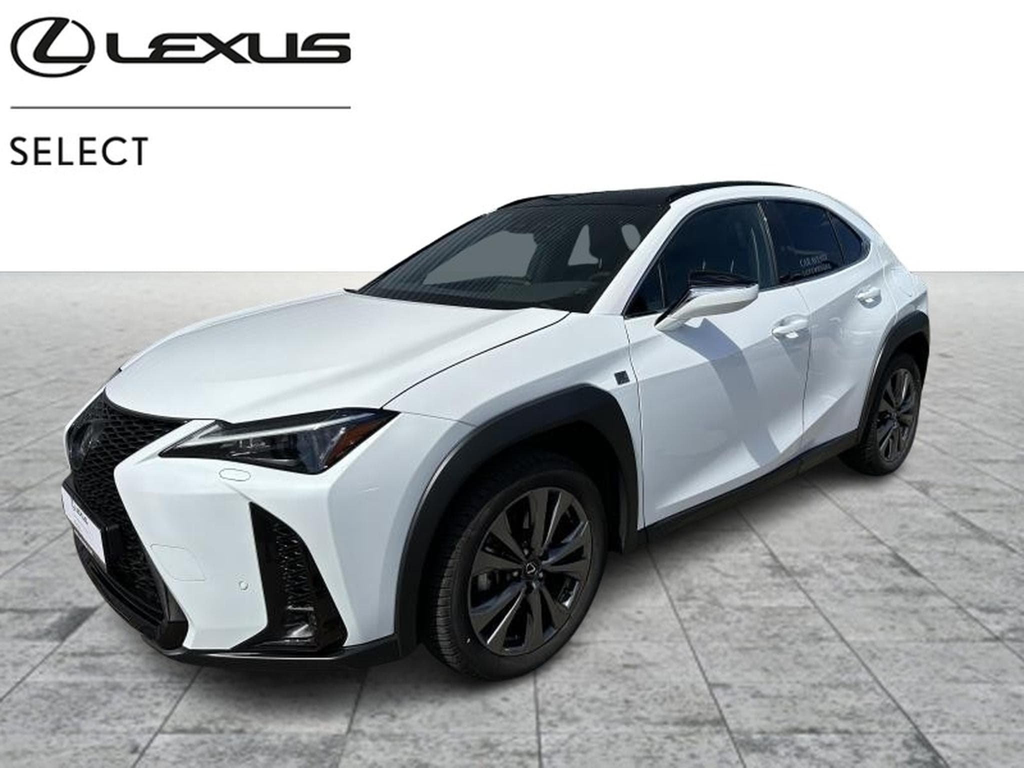 Lexus UX F SPORT Design (2023) - Photo 1