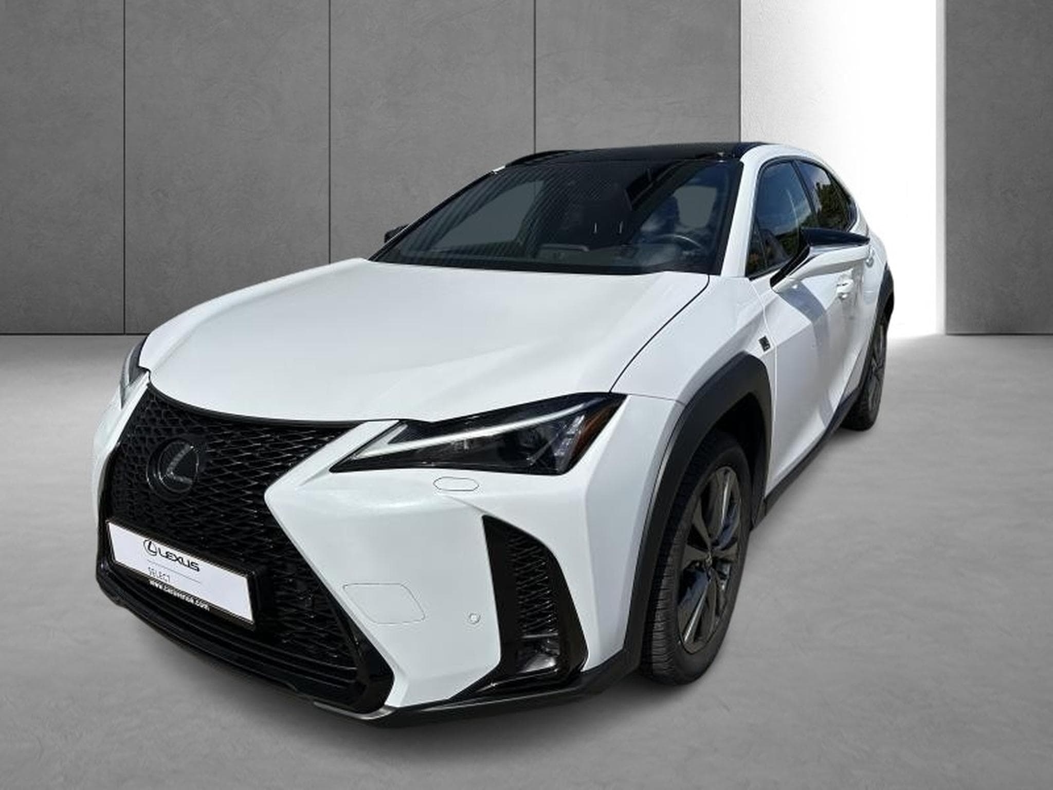 Lexus UX F SPORT Design (2023) - Photo 3