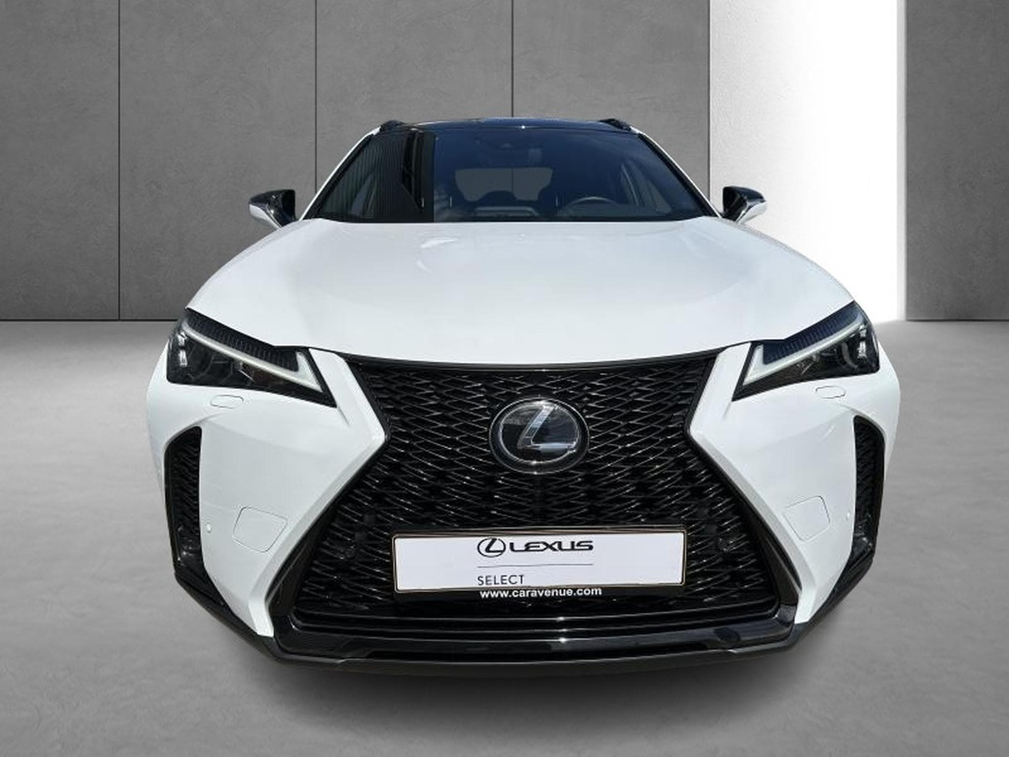 Lexus UX F SPORT Design (2023) - Photo 6