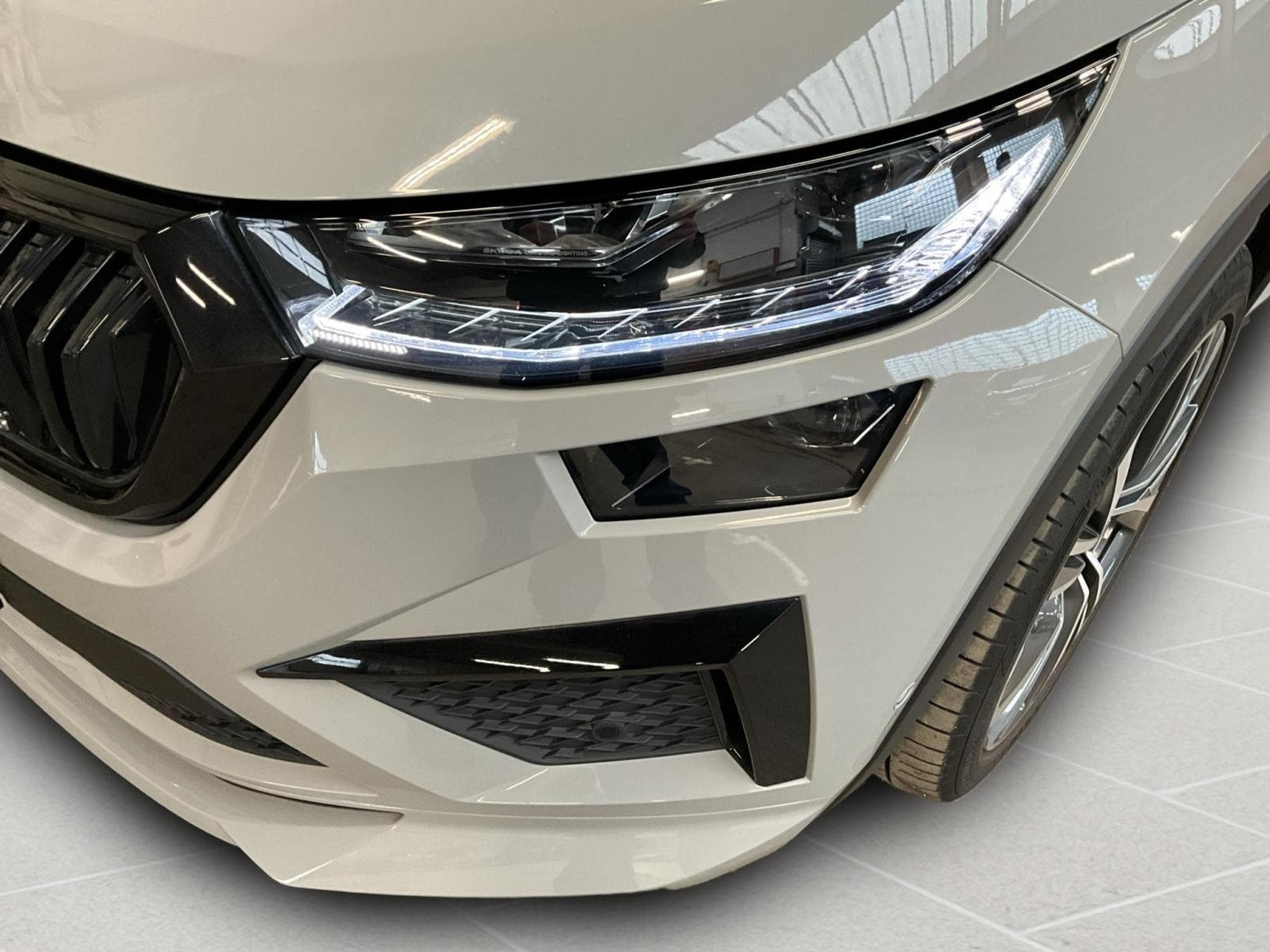 Skoda Kodiaq RS+DSG+4x4+Pano+AHK (2023) - Foto 18