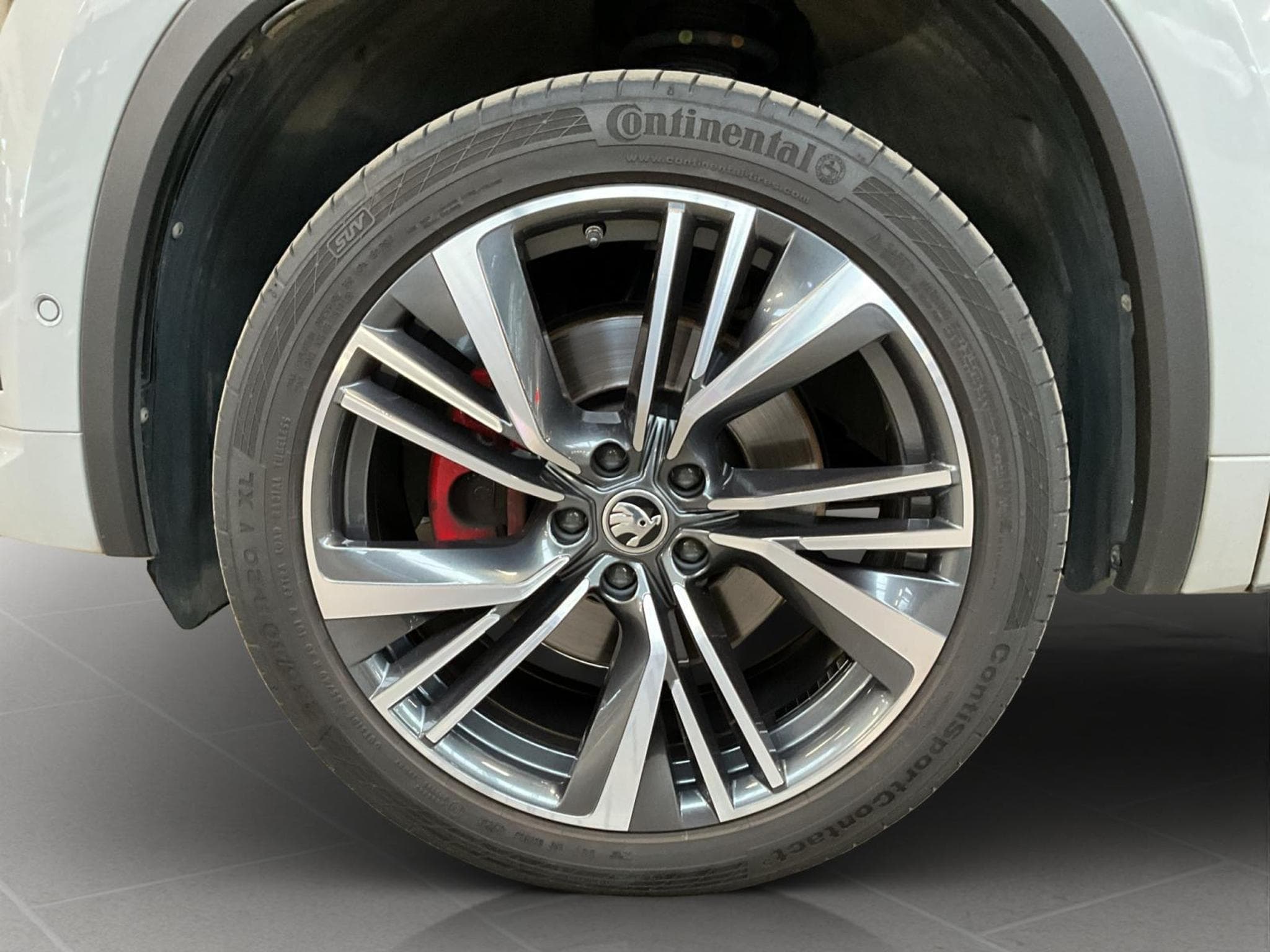 Skoda Kodiaq RS+DSG+4x4+Pano+AHK (2023) - Foto 8